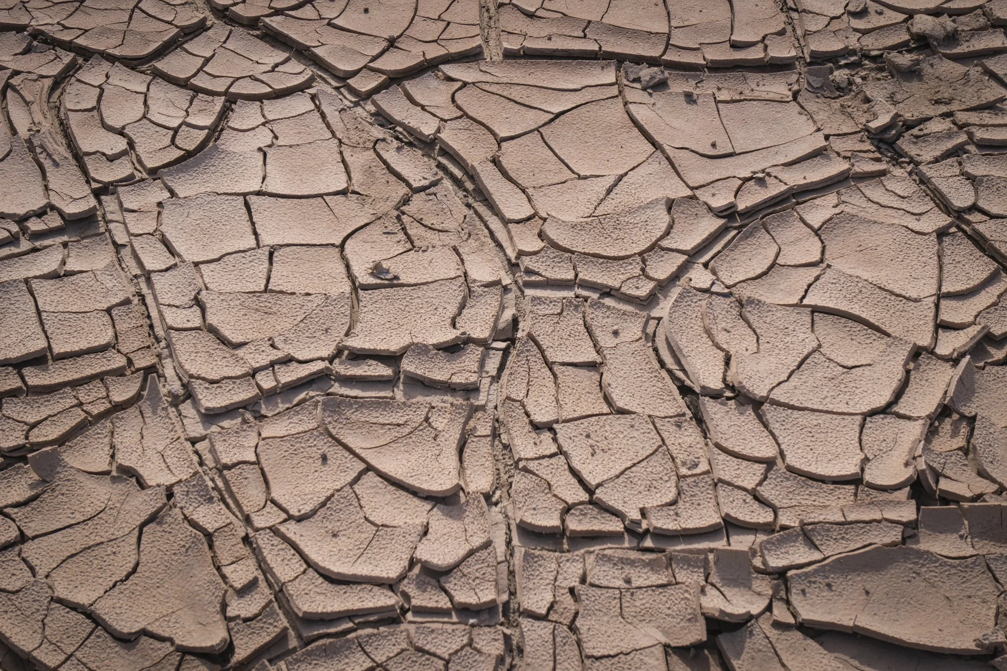 Reportage - Salton Sea - Fred Marie1.jpg