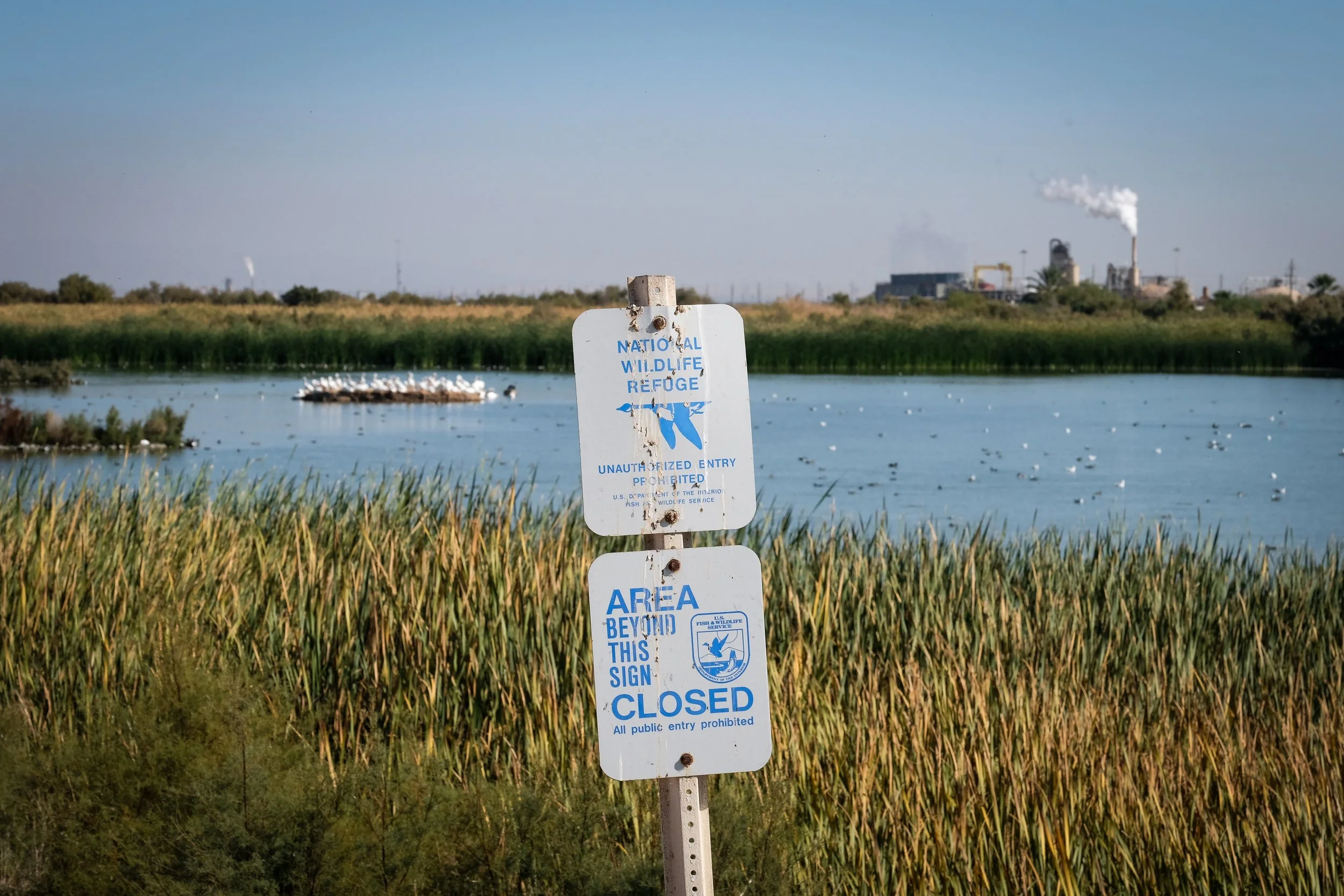 Reportage - Salton Sea - Fred Marie15.jpg