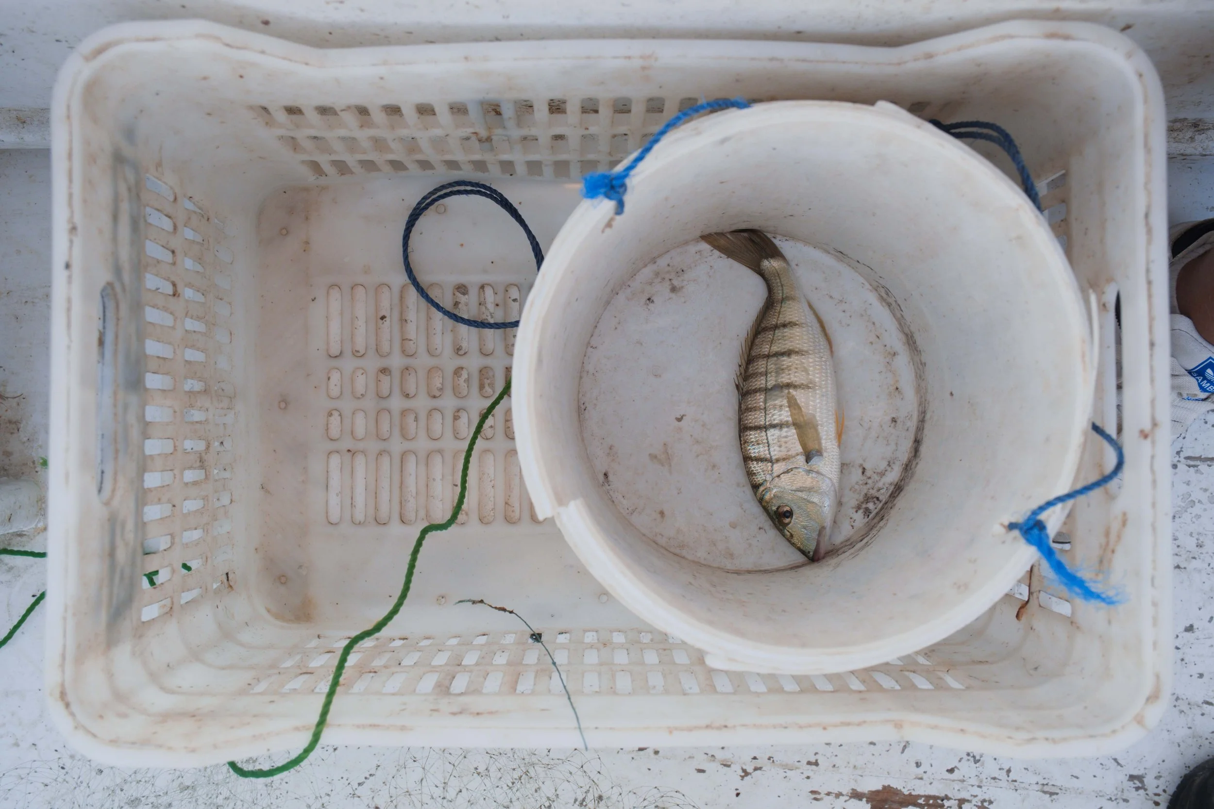 La mer brulee (8).jpg