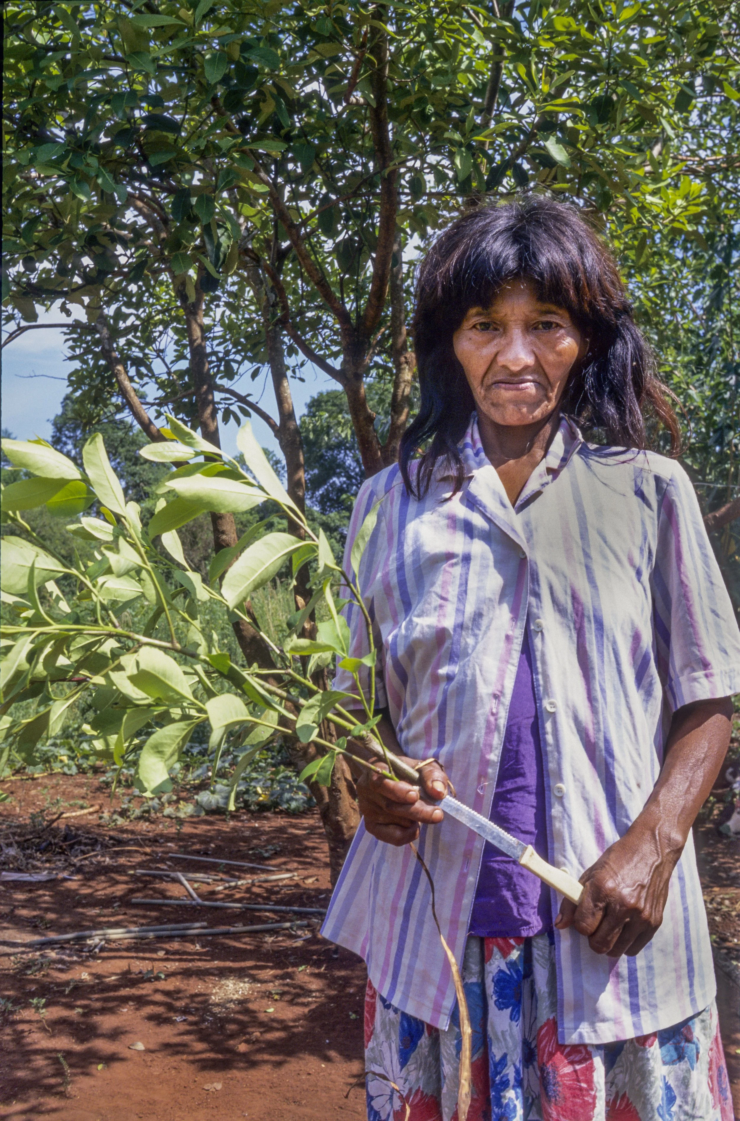 ARGENTINE - MATE – INFUSION - TRADITION - GB-2.jpg