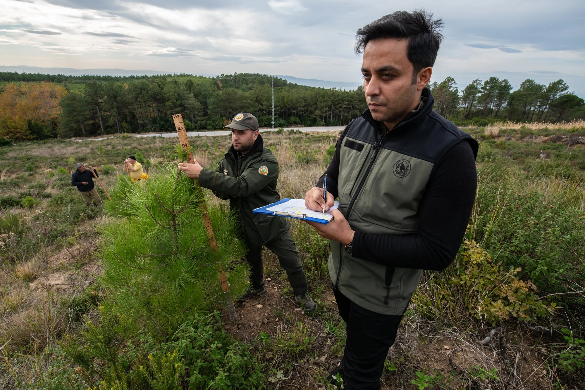 Coopération franco-turque pour l’adaptation des forêts au changement climatique