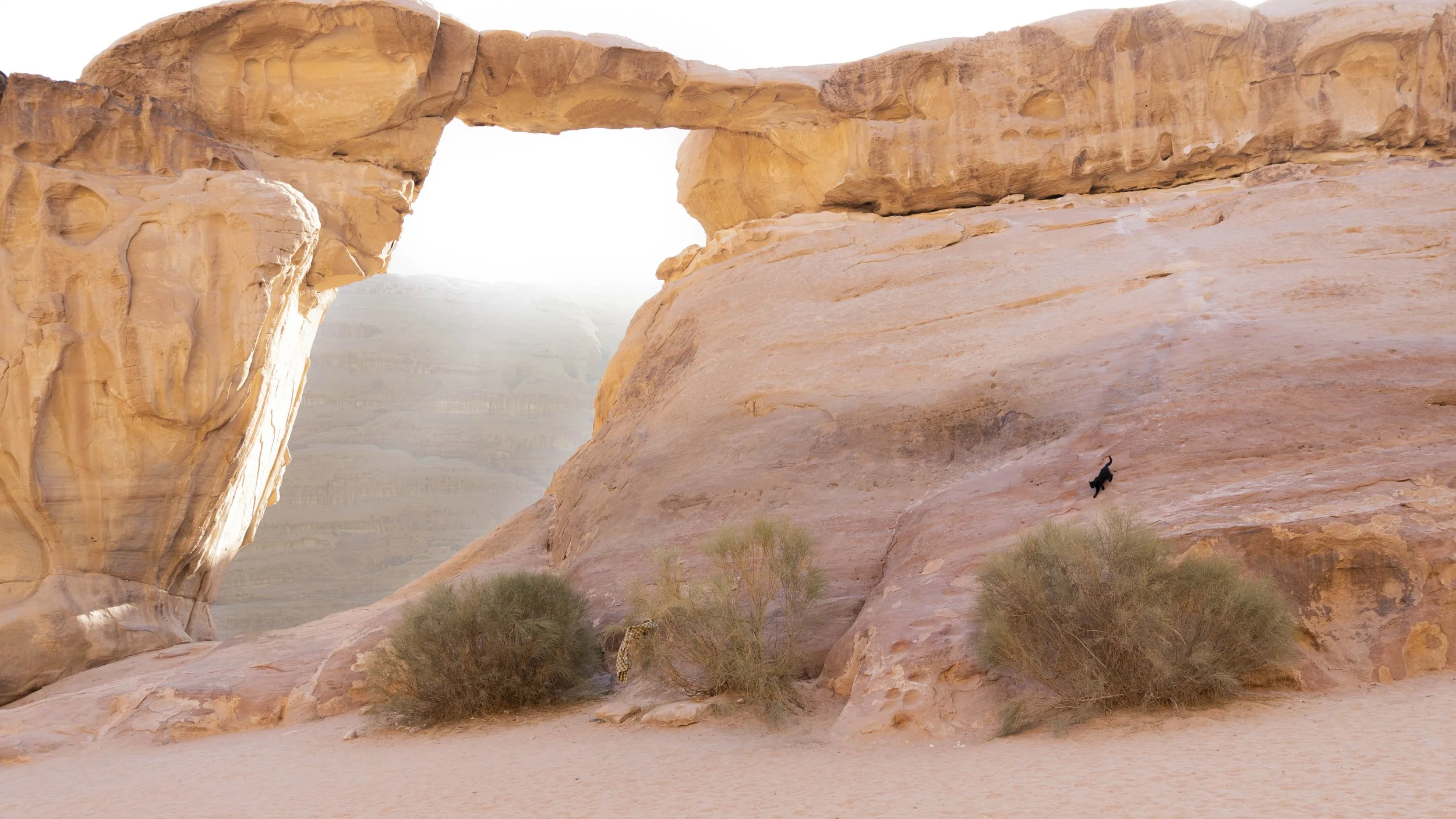 JORDANIE - WADI RUM- DESERT - AS_11.jpg