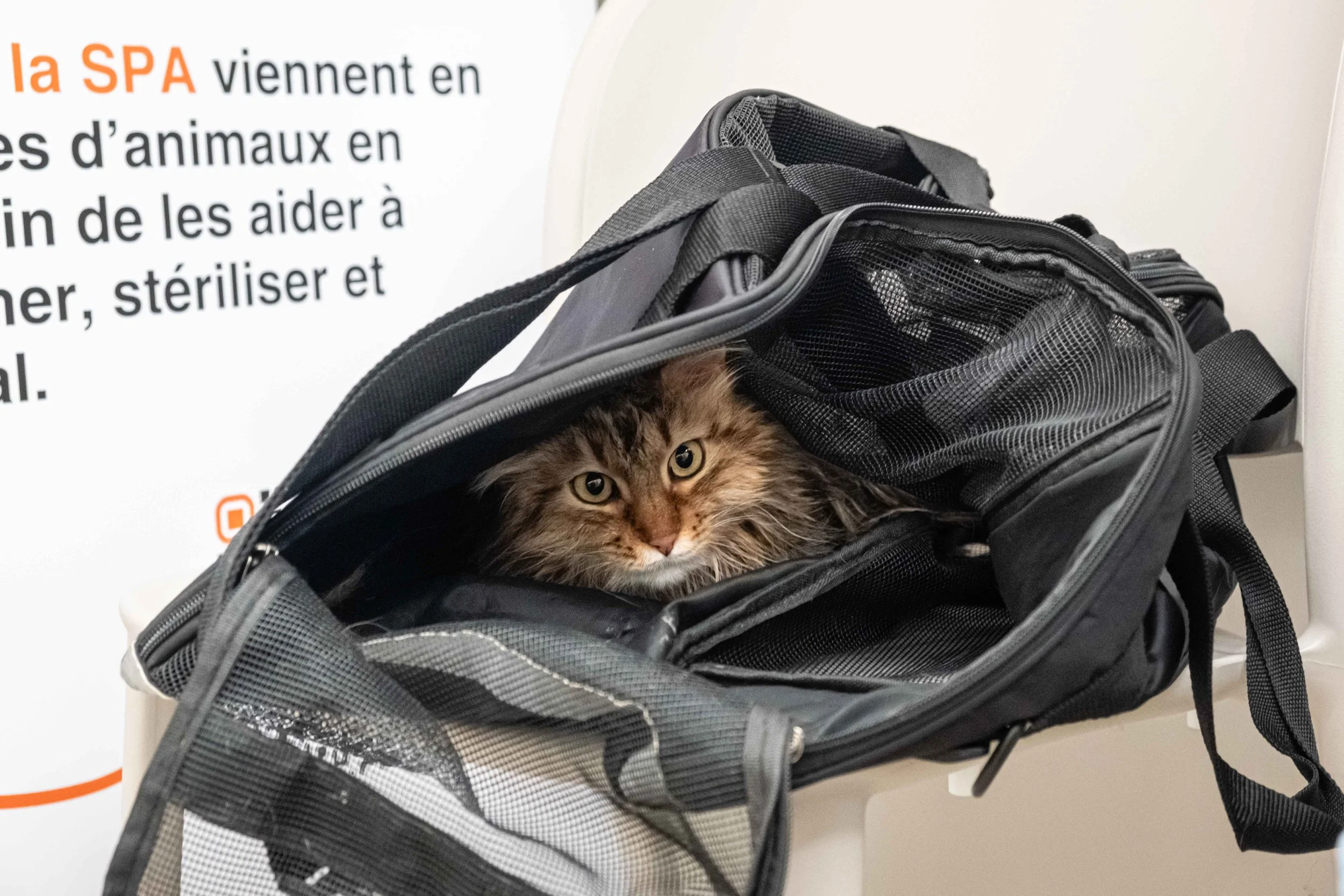 Dispensaire SPA - Franck CHAPOLARD-03.jpg