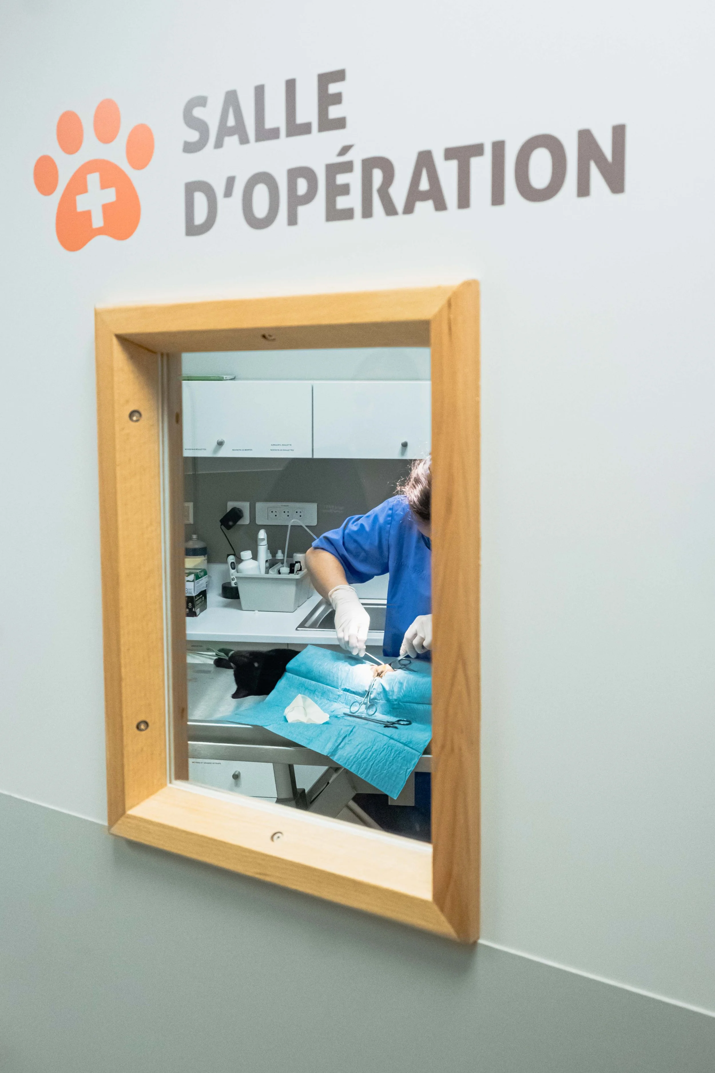 Dispensaire SPA - Franck CHAPOLARD-07.jpg