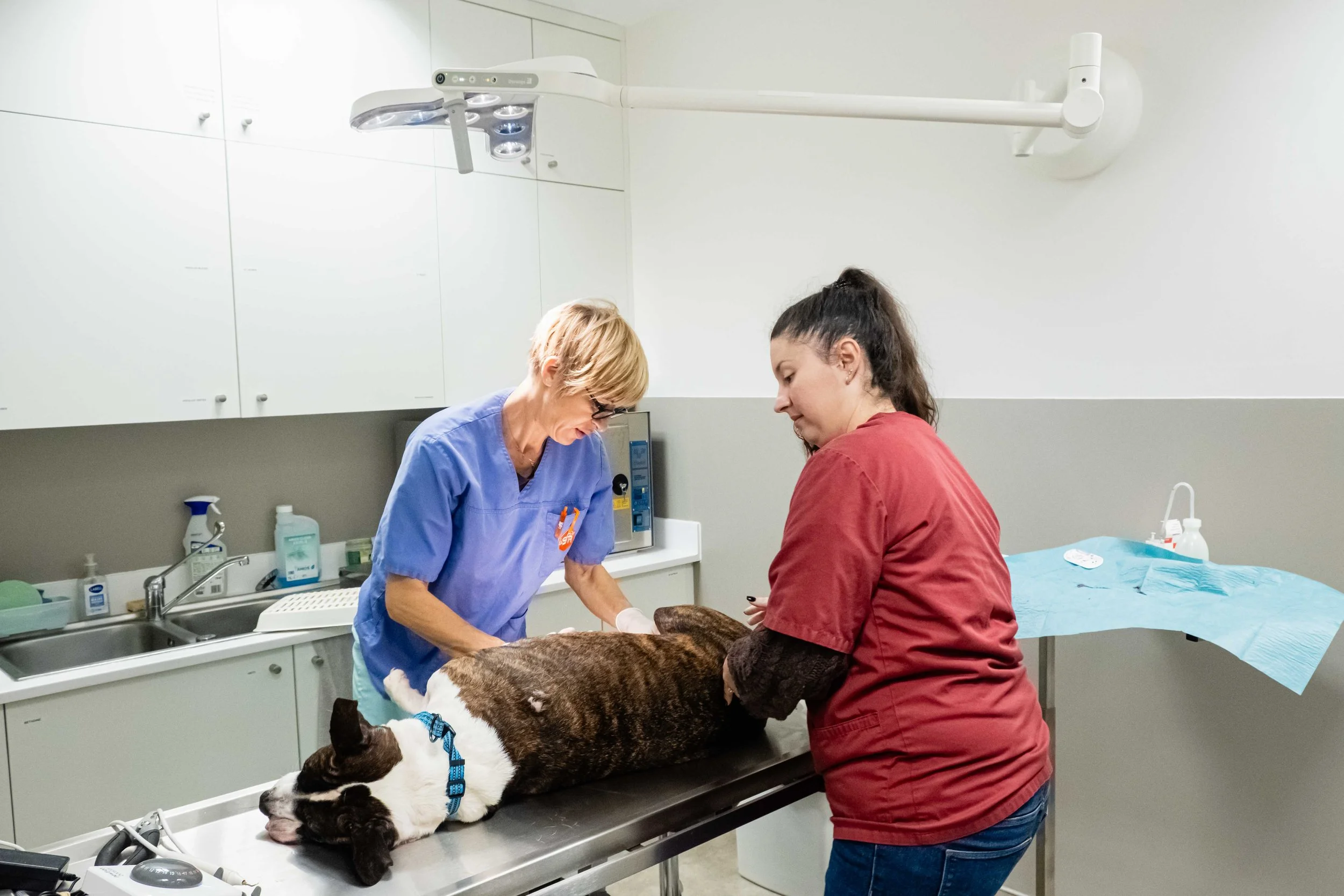 Dispensaire SPA - Franck CHAPOLARD-10.jpg