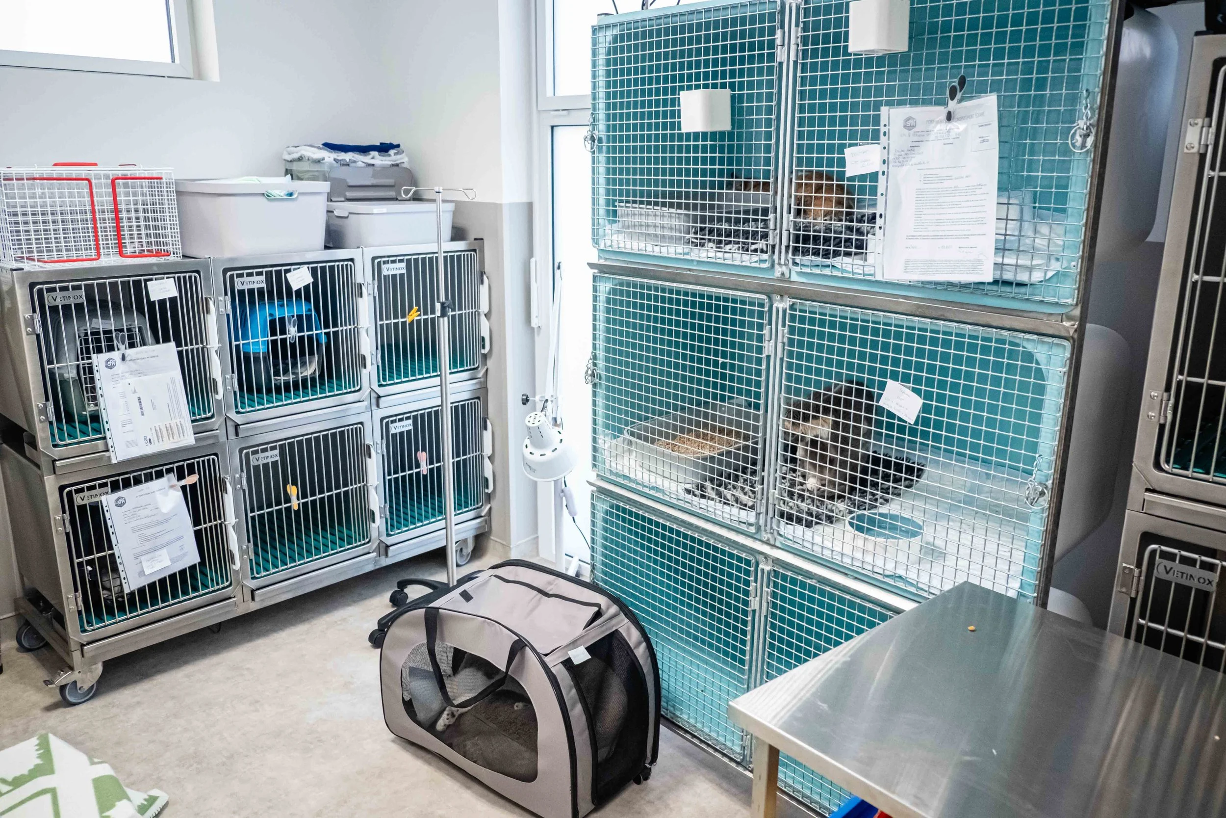 Dispensaire SPA - Franck CHAPOLARD-12.jpg