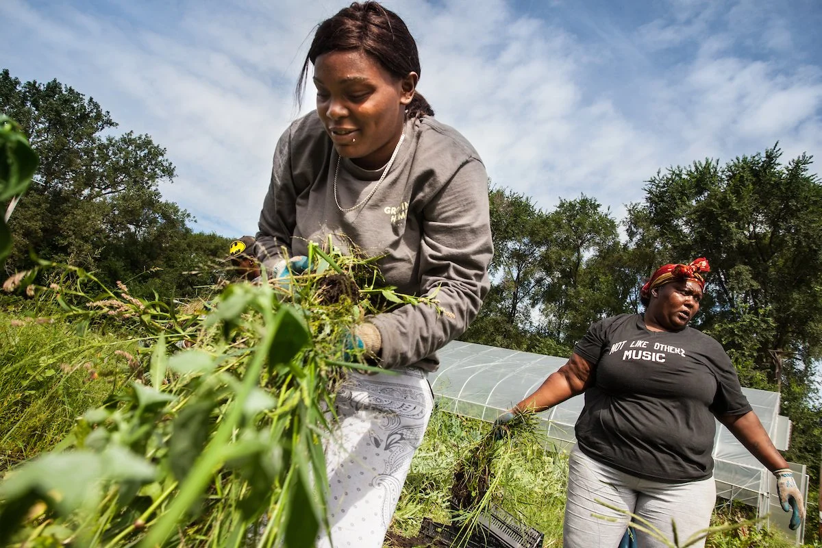 Urban_agriculture_Chicago-4.jpg