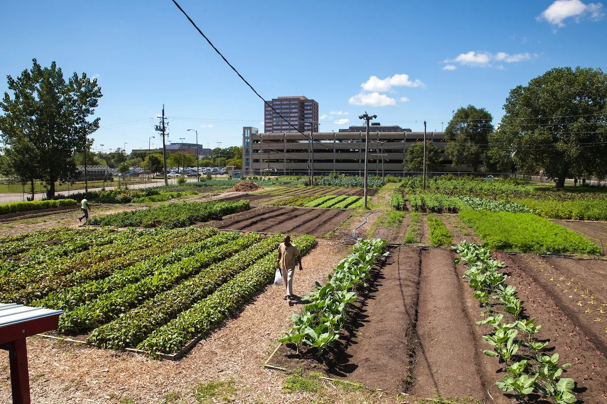 Urban_agriculture_Chicago-37.jpg
