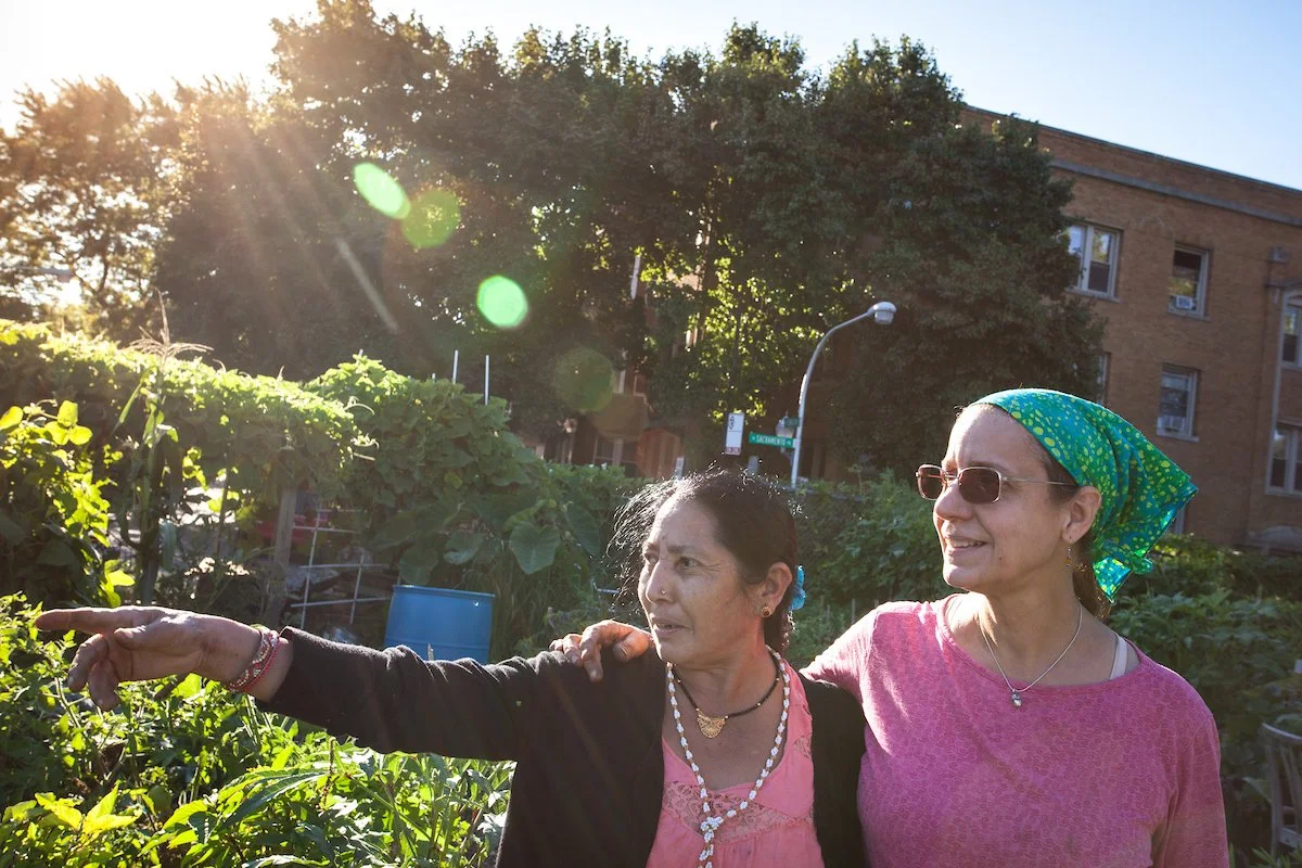 Urban_agriculture_Chicago-48.jpg