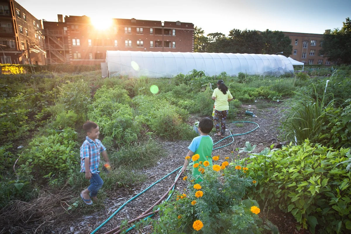 Urban_agriculture_Chicago-55.jpg