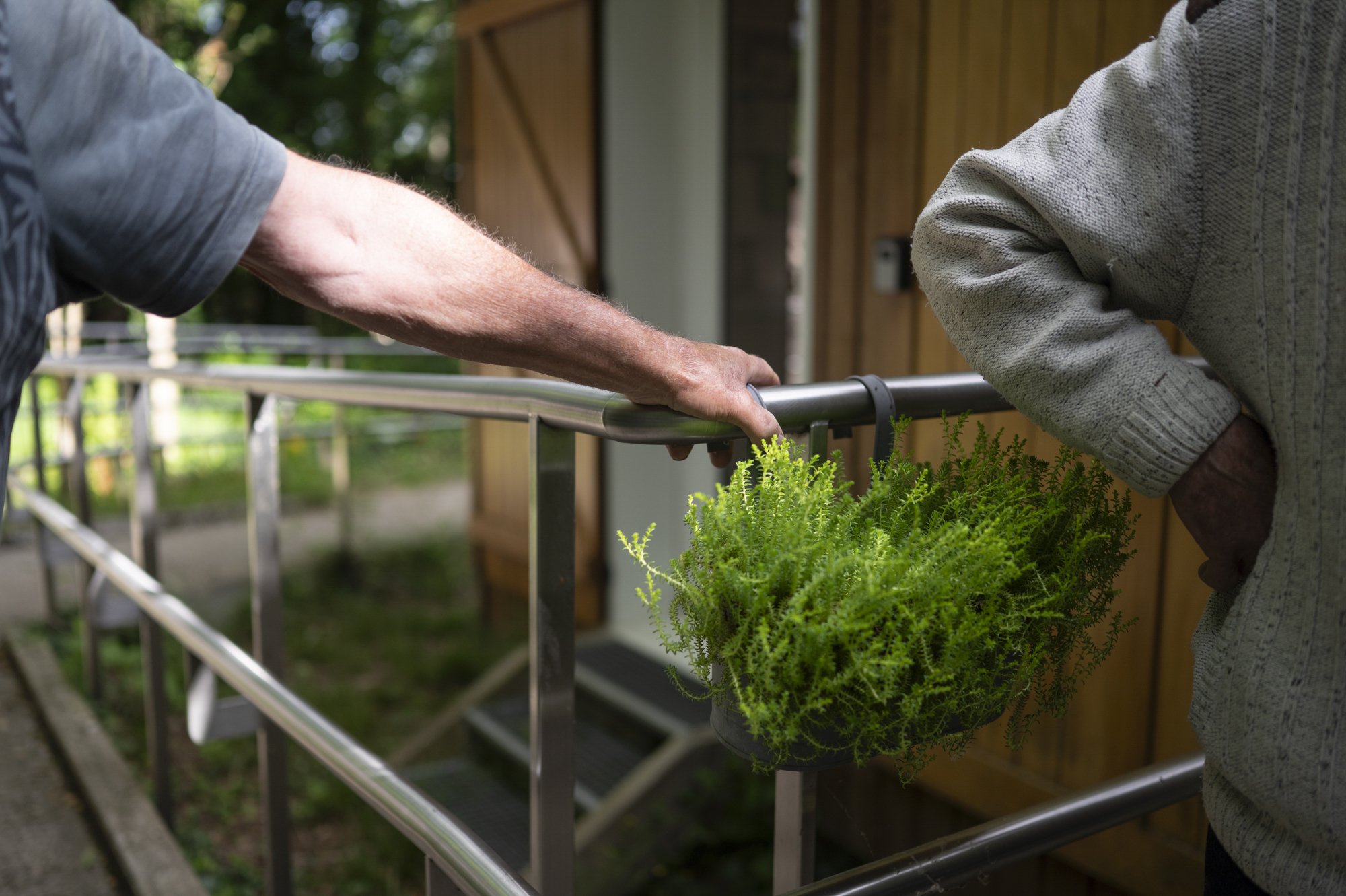 1- FRANCE-HAUTE GIRONDE-JARDIN THERAPEUTIQUE D OREDA-EL.JPG