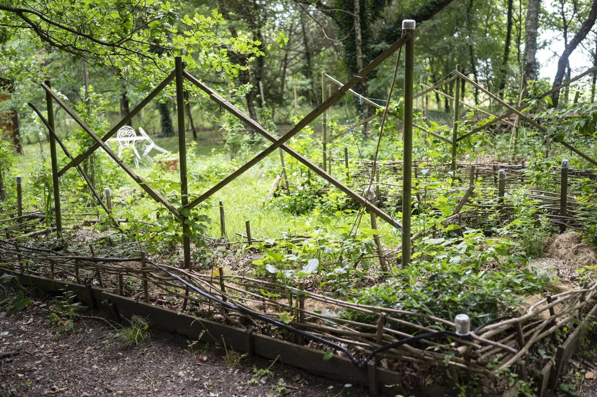 3-FRANCE-HAUTE GIRONDE-JARDIN THERAPEUTIQUE D OREDA-EL.JPG