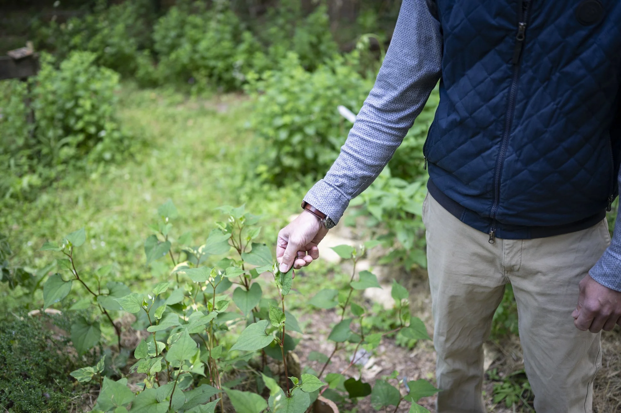 6-FRANCE-HAUTE GIRONDE-JARDIN THERAPEUTIQUE D OREDA-EL-6.jpg