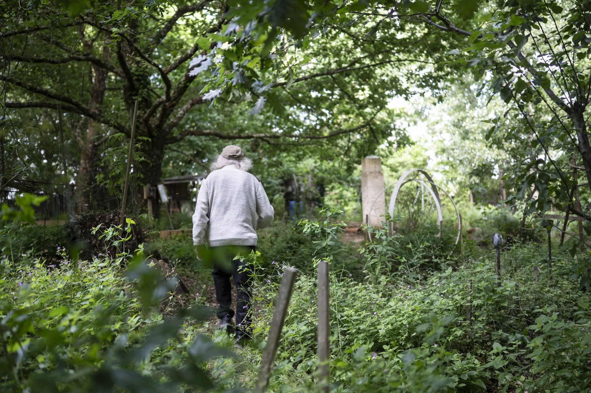 16-FRANCE-HAUTE GIRONDE-JARDIN THERAPEUTIQUE D OREDA-EL-4.jpg