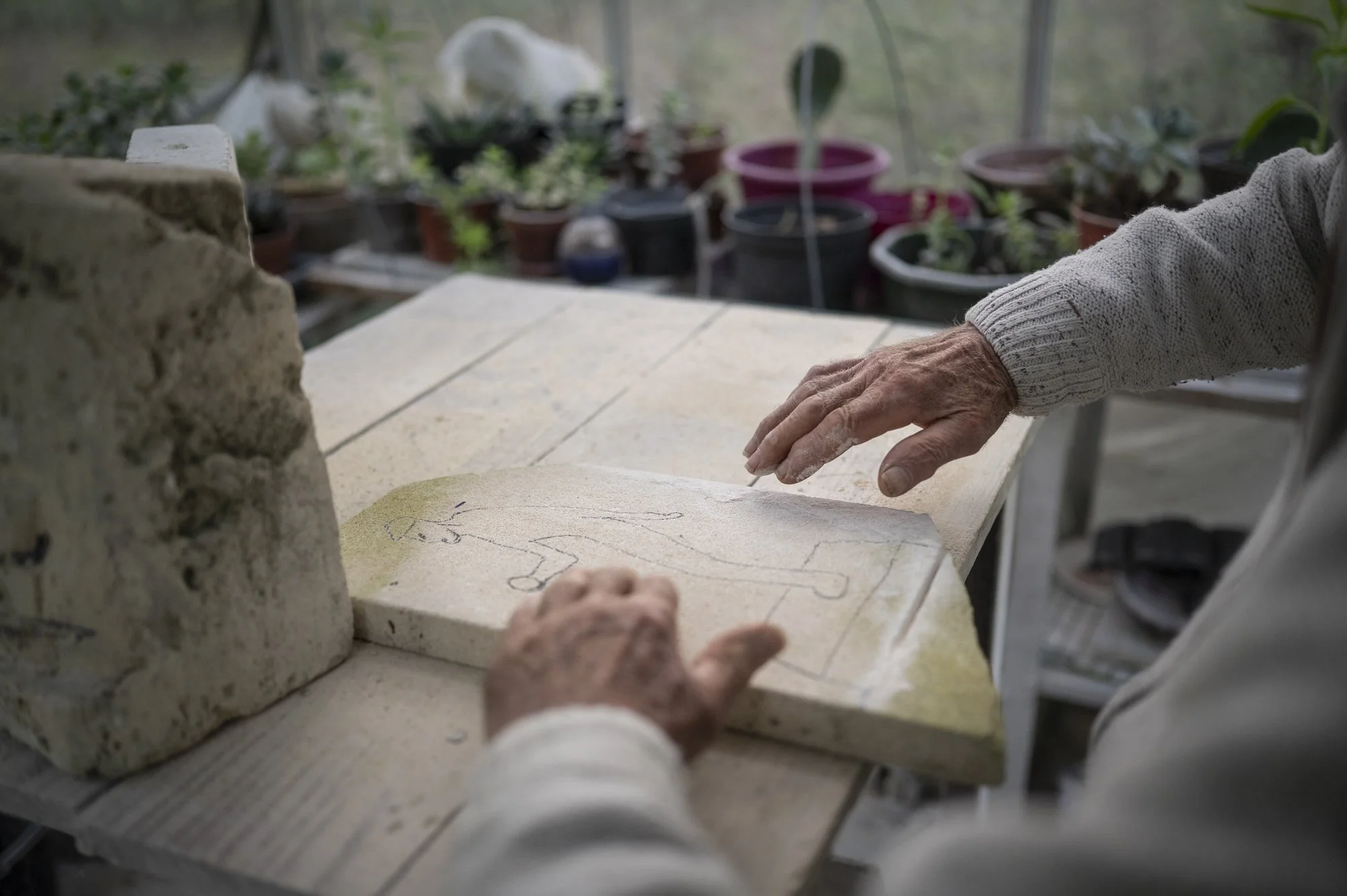 18-FRANCE-HAUTE GIRONDE-JARDIN THERAPEUTIQUE D OREDA-EL-3.jpg