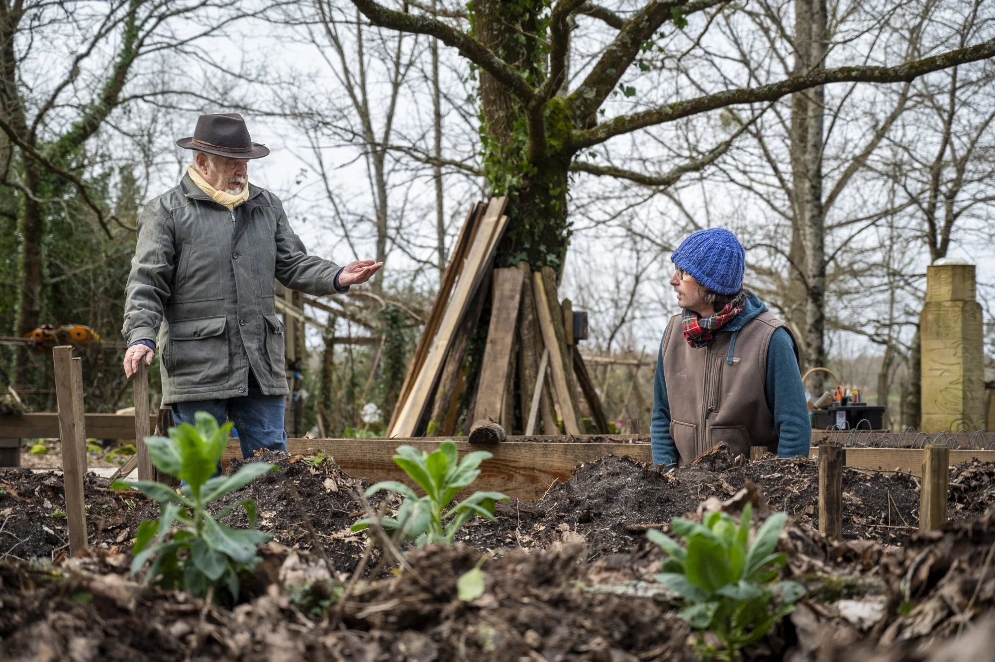 Jardin thérapeutique : quand la nature soigne et crée du lien