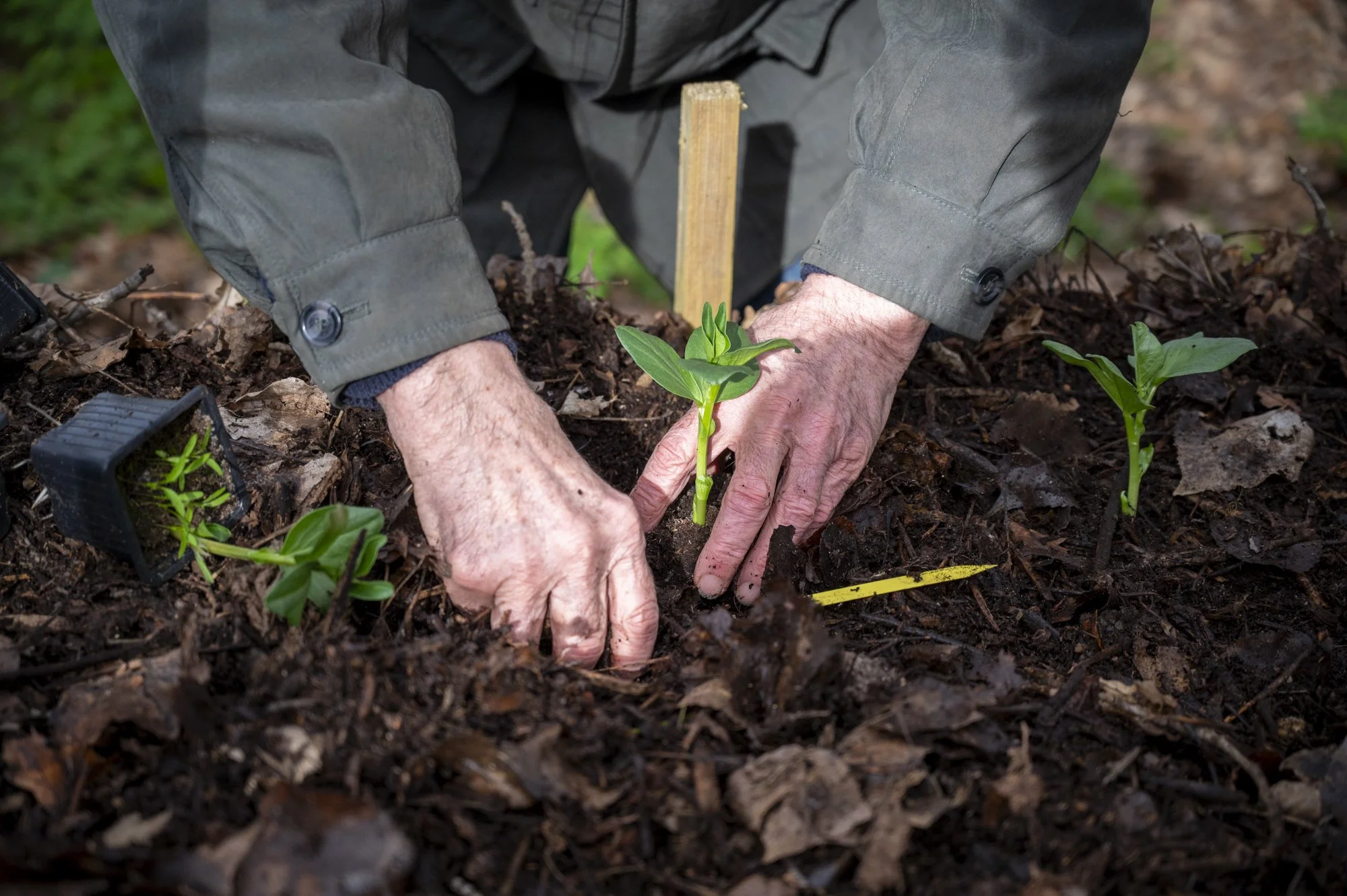 30-FRANCE-HAUTE GIRONDE-JARDIN THERAPEUTIQUE D OREDA-EL-33.jpg