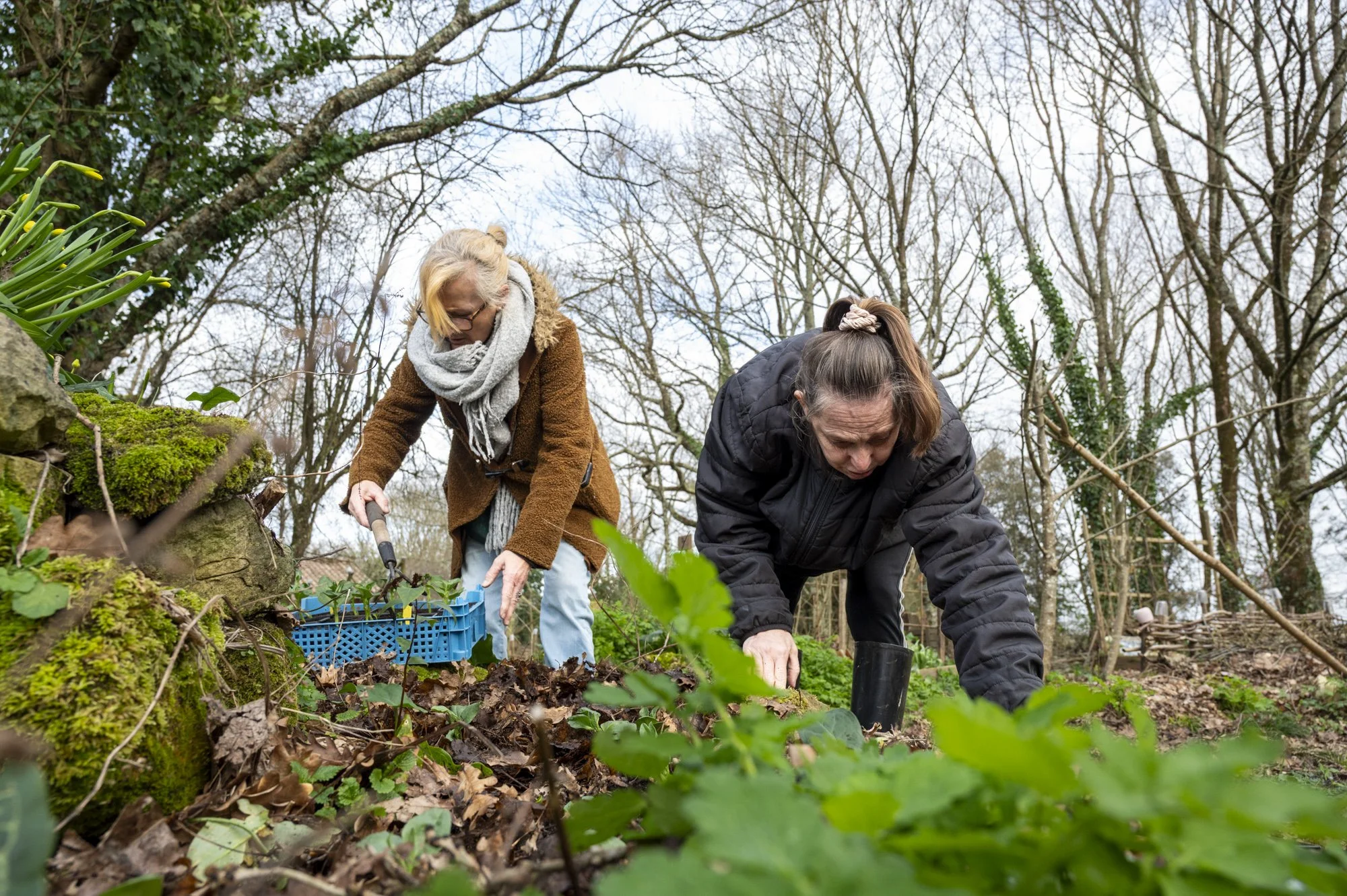 31-FRANCE-HAUTE GIRONDE-JARDIN THERAPEUTIQUE D OREDA-EL-35.jpg