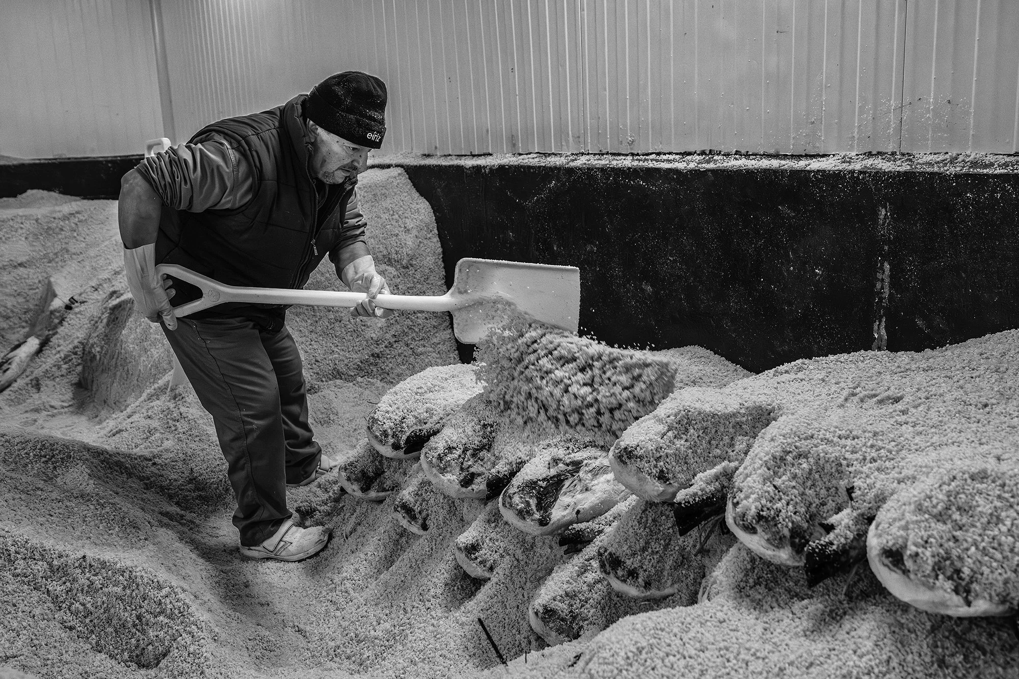 7 Ludovic Vauthier_Bellota un art ancestral-13 .jpg