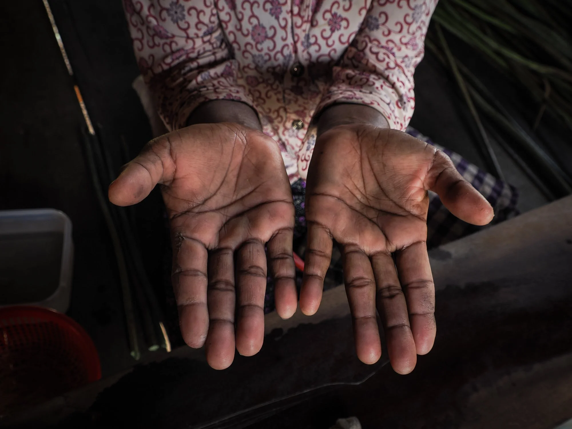 Mains de lotus11.jpg