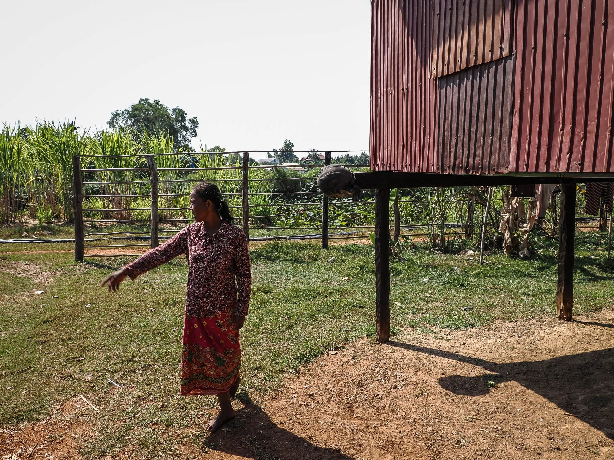 Mains de lotus15.jpg