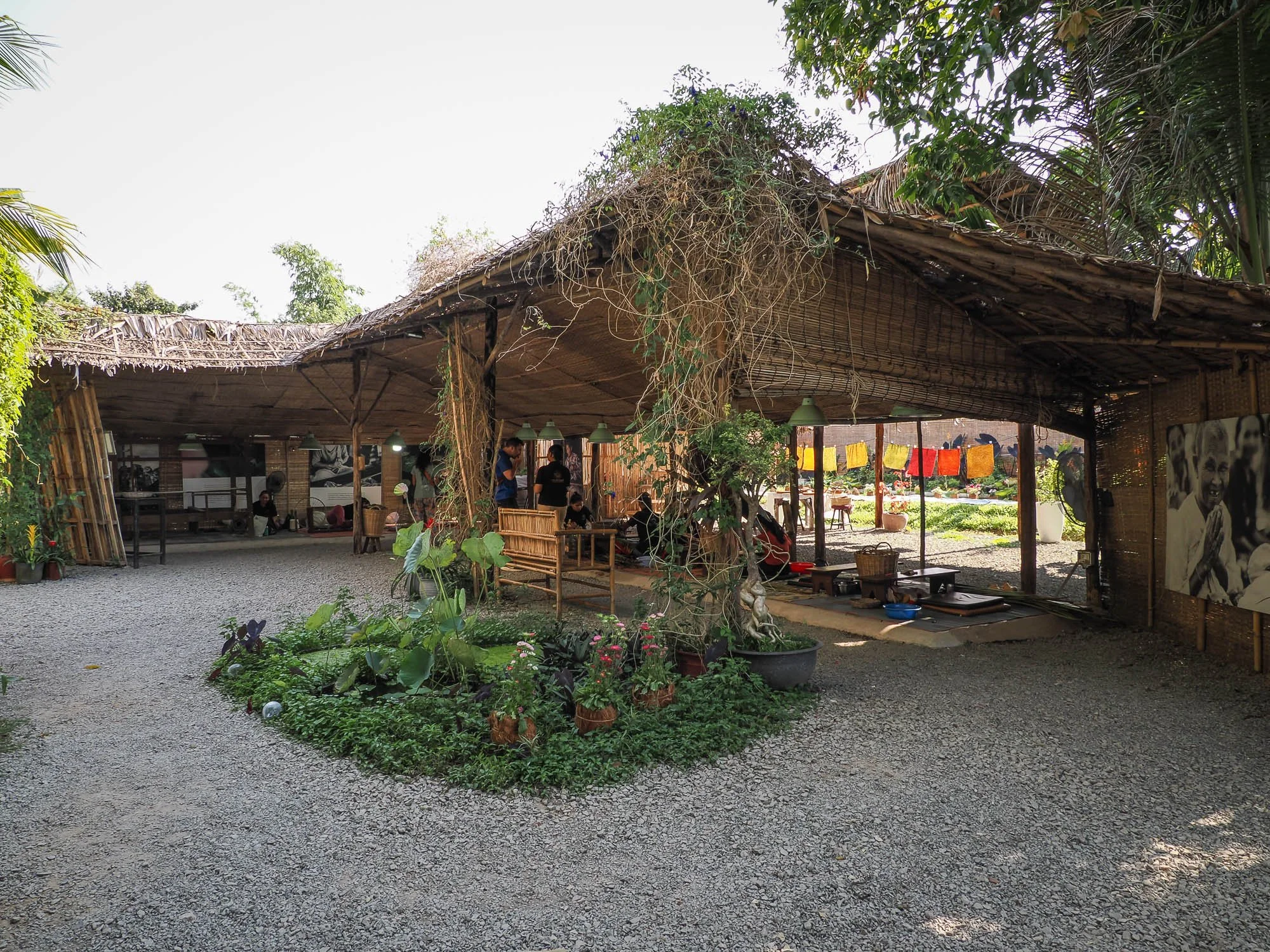 Mains de lotus16.jpg