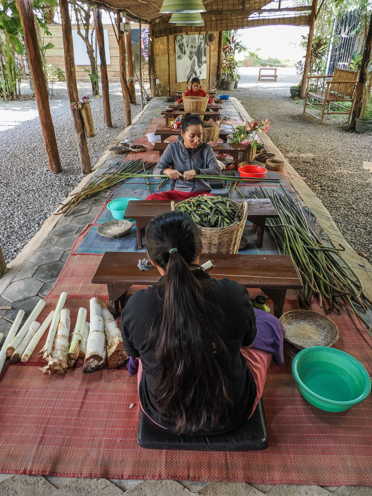 Mains de lotus17.jpg