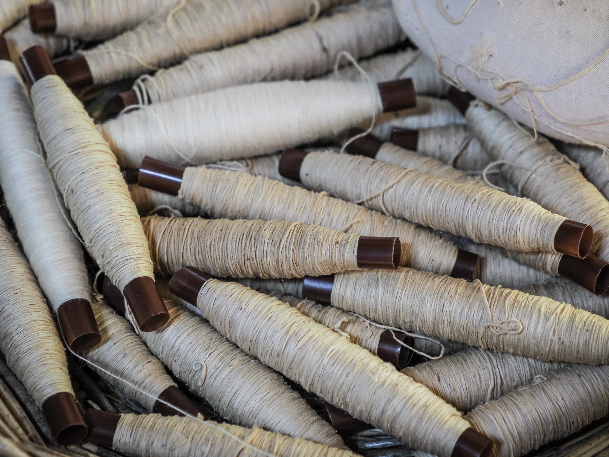 Mains de lotus21.jpg