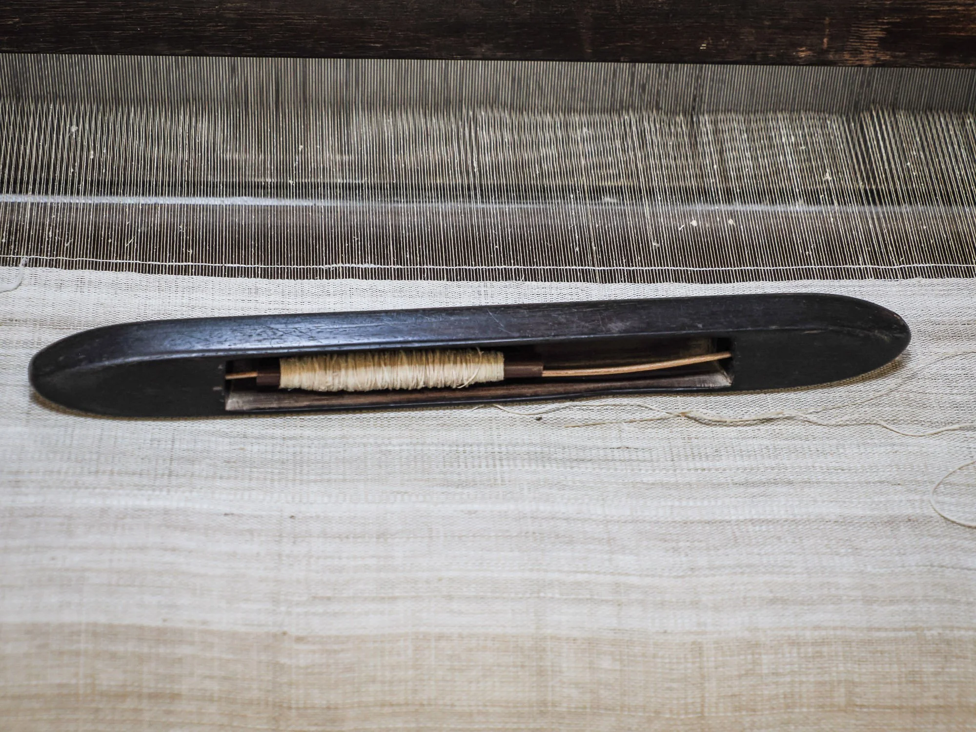 Mains de lotus22.jpg