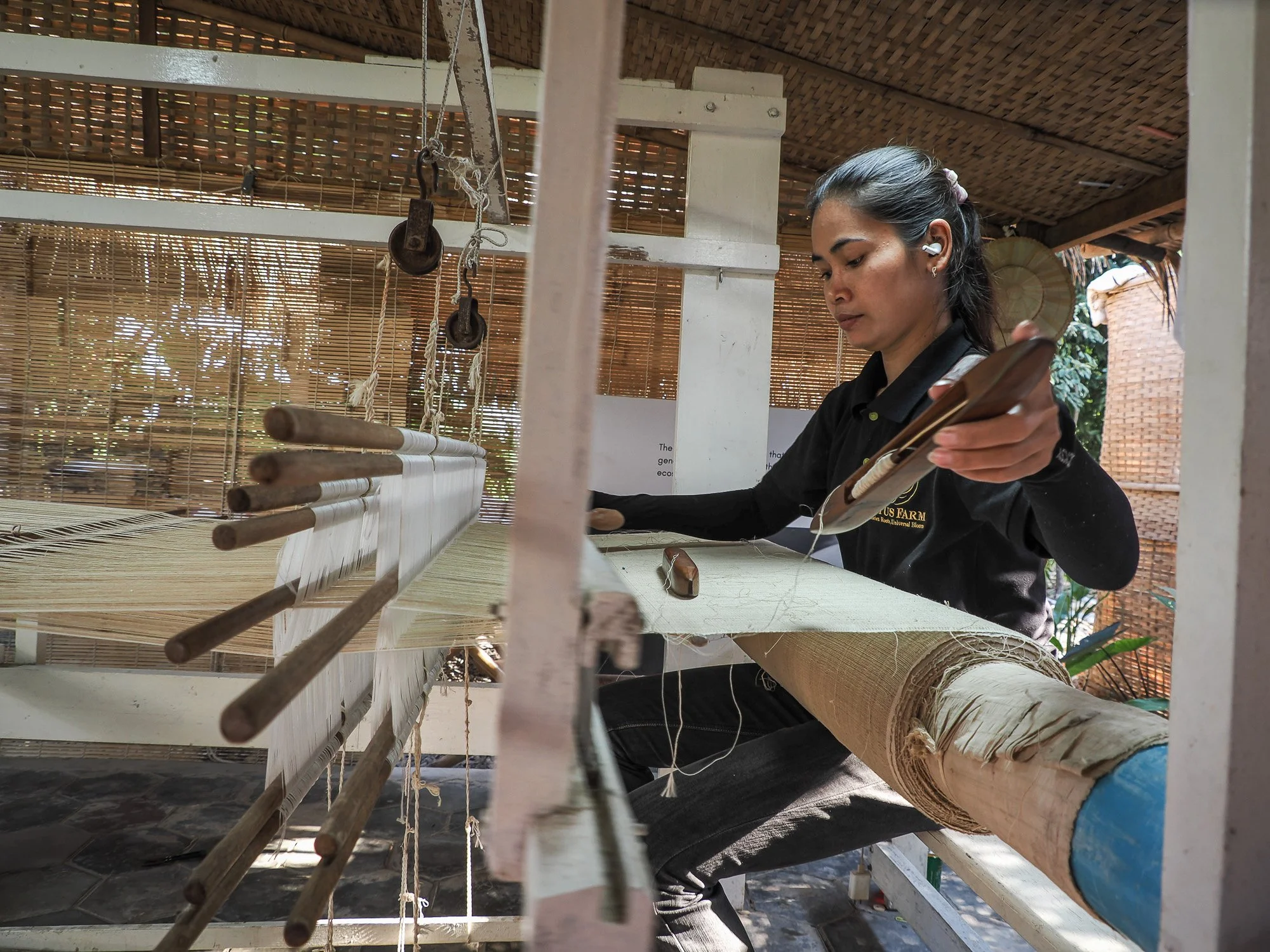 Mains de lotus23.jpg