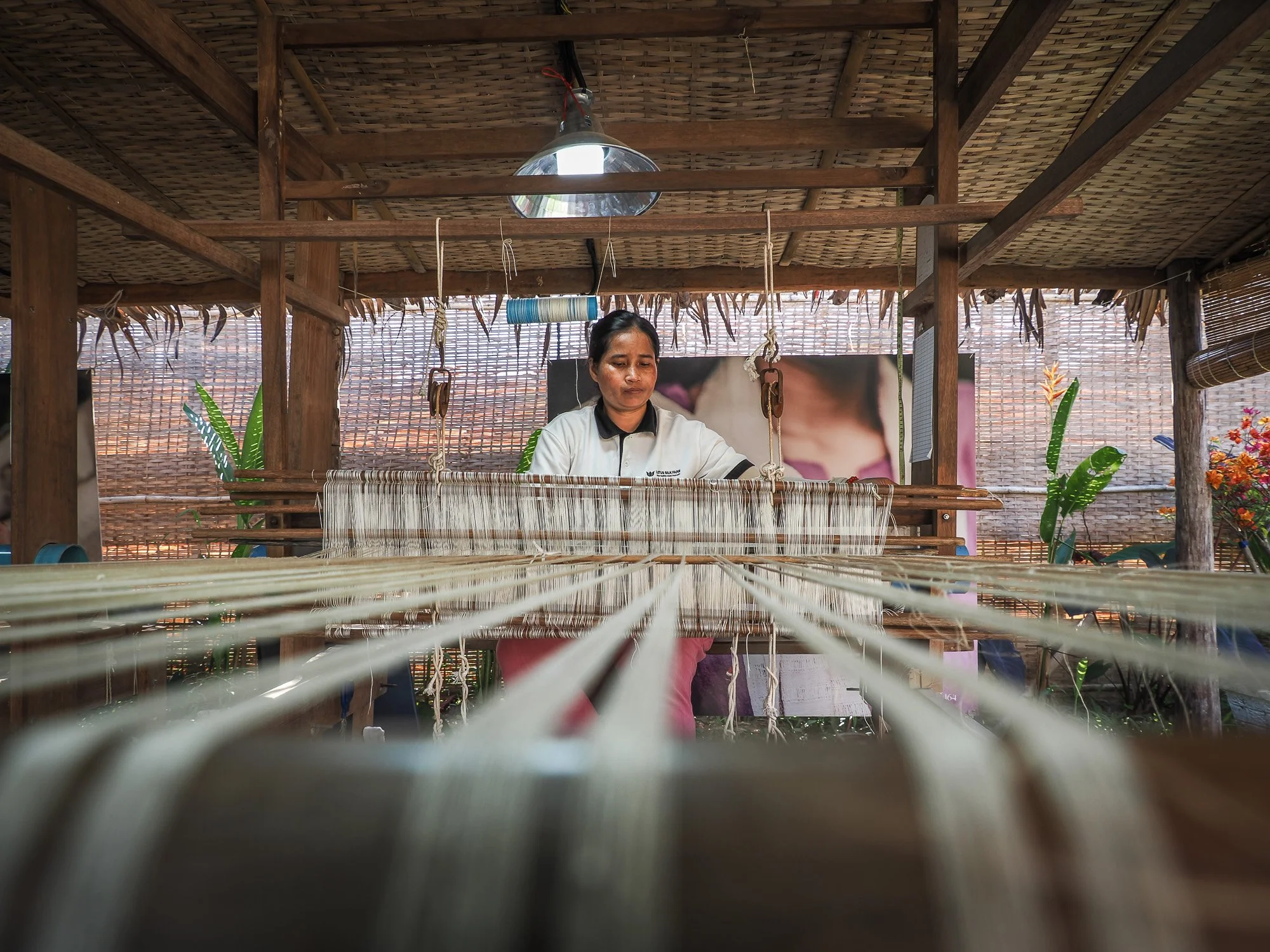 Mains de lotus26.jpg