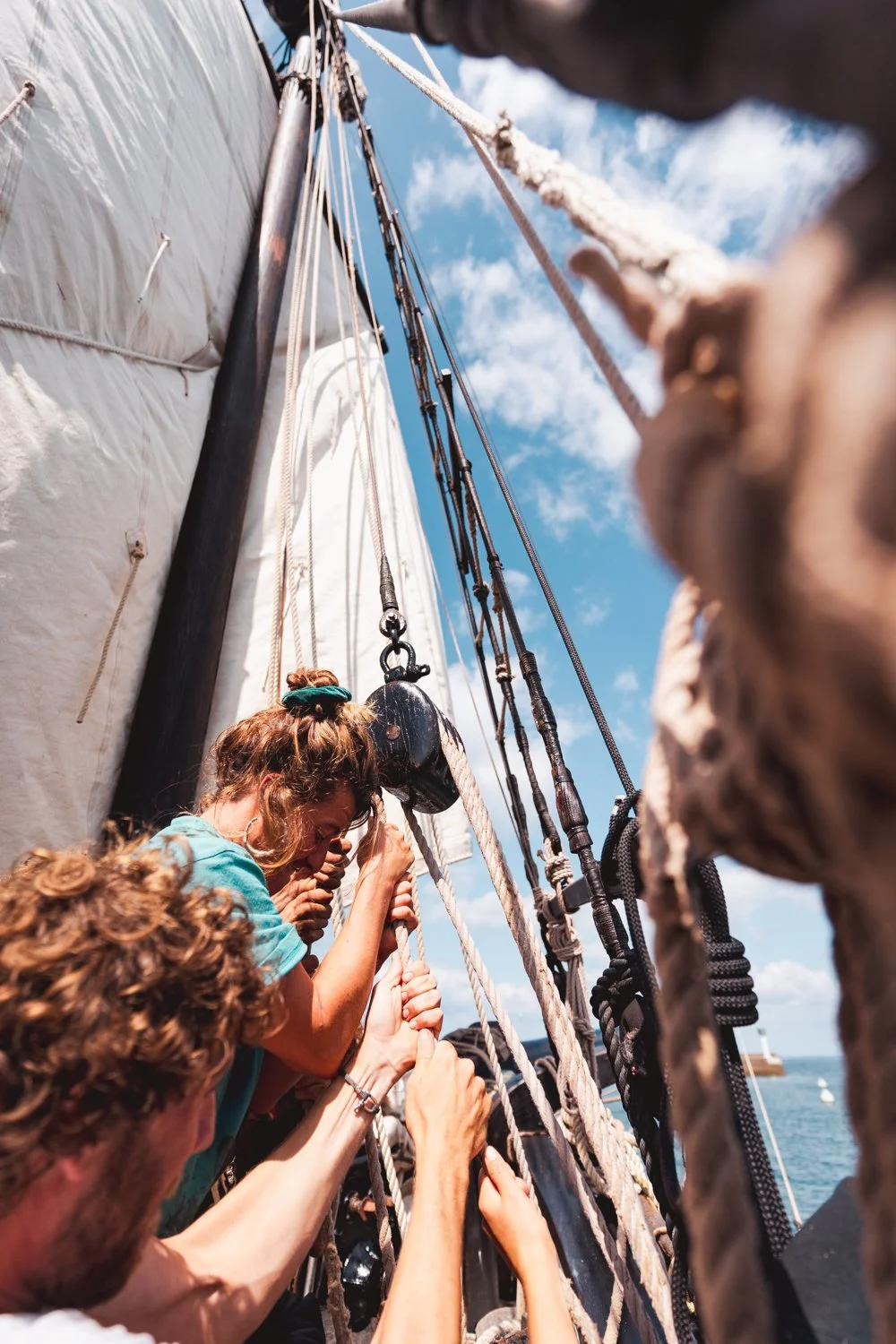 FRANCE - GRAYHOUND - VOILIER - FRET - JONATHAN CATHALA-34.jpg