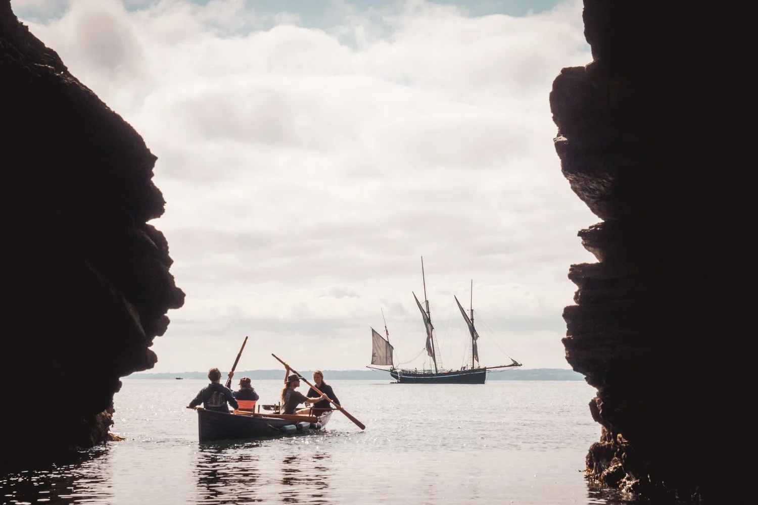 Grayhound, le transport à la voile entre tradition et modernité