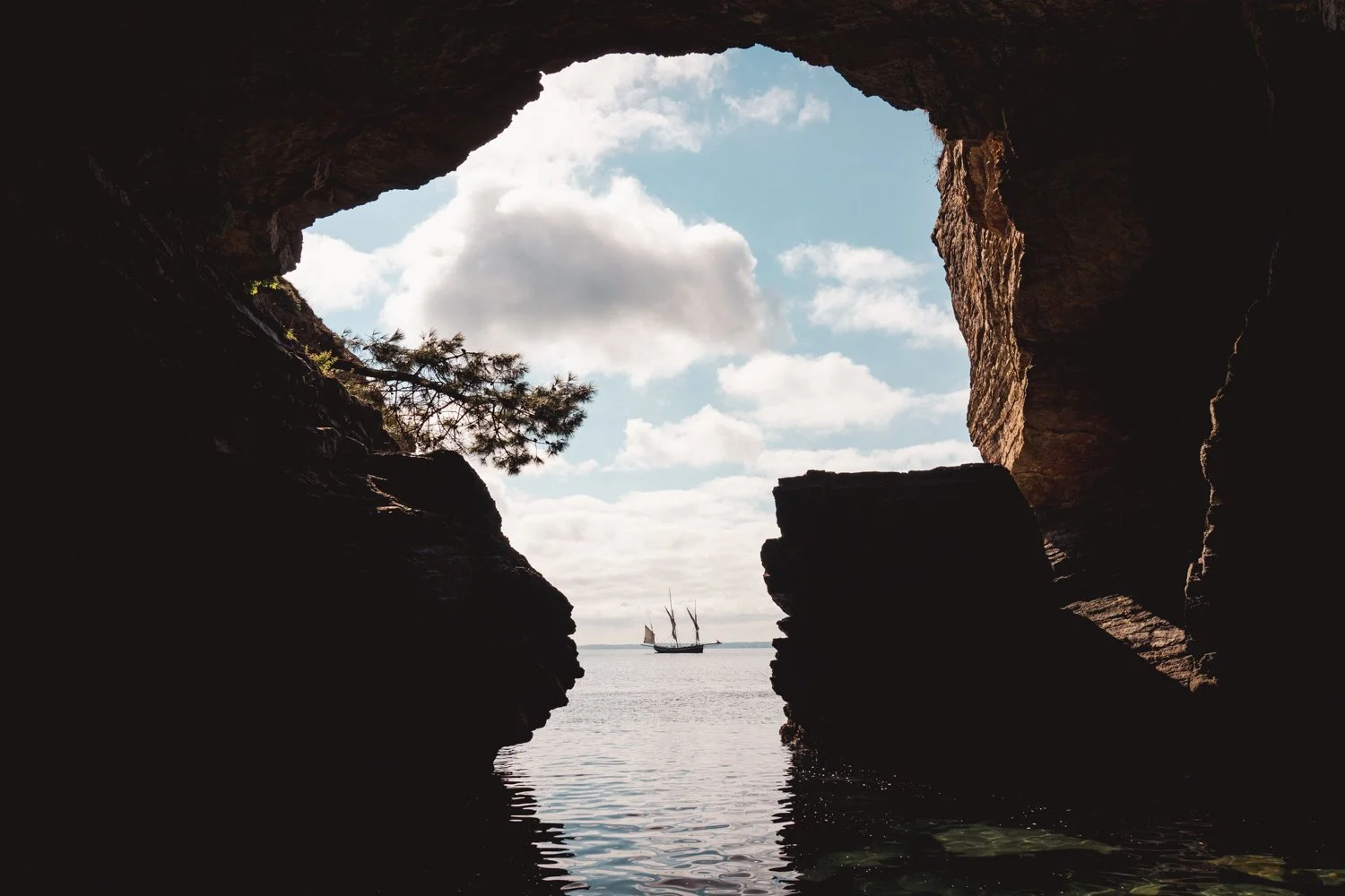 FRANCE - GRAYHOUND - VOILIER - FRET - JONATHAN CATHALA-94.jpg