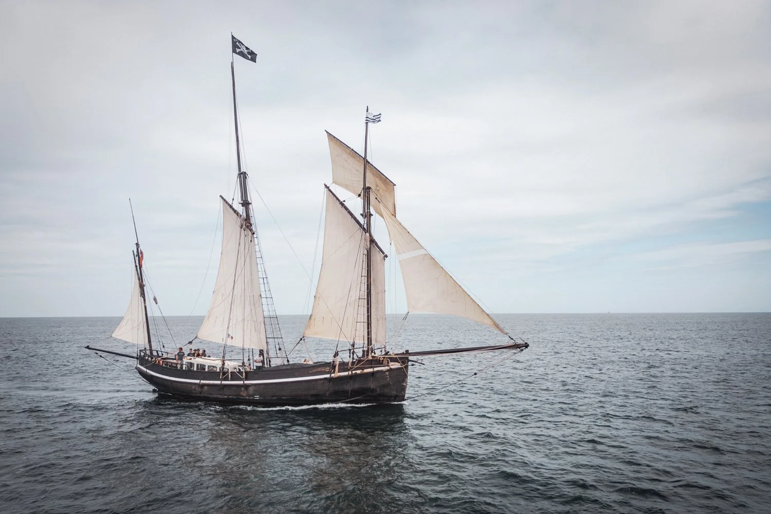 FRANCE - GRAYHOUND - VOILIER - FRET - JONATHAN CATHALA-140.jpg