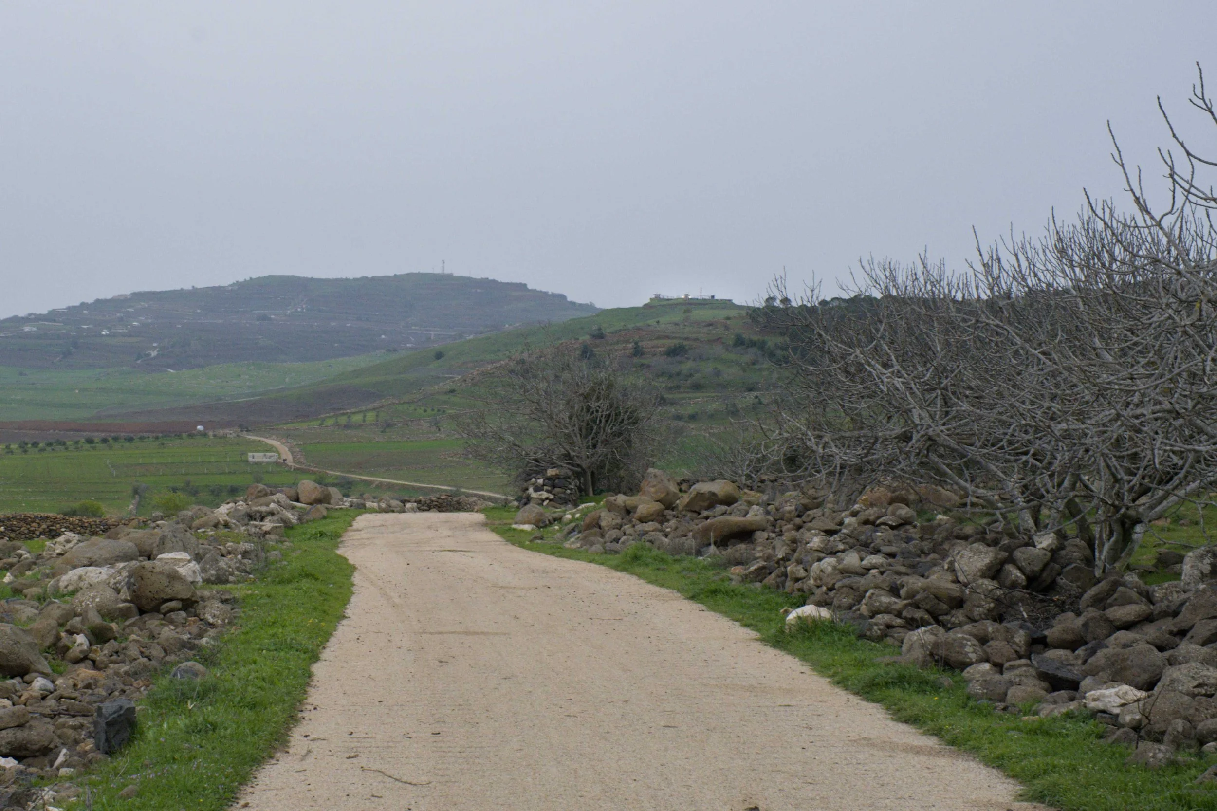 Qouneitra, zone tampon sous tension (7).jpg