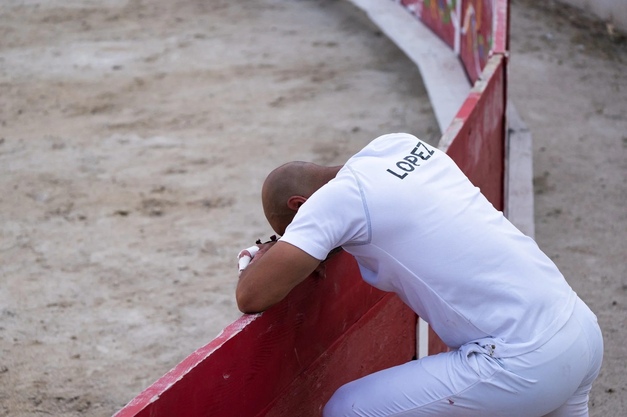 Course camarguaise-6.jpg