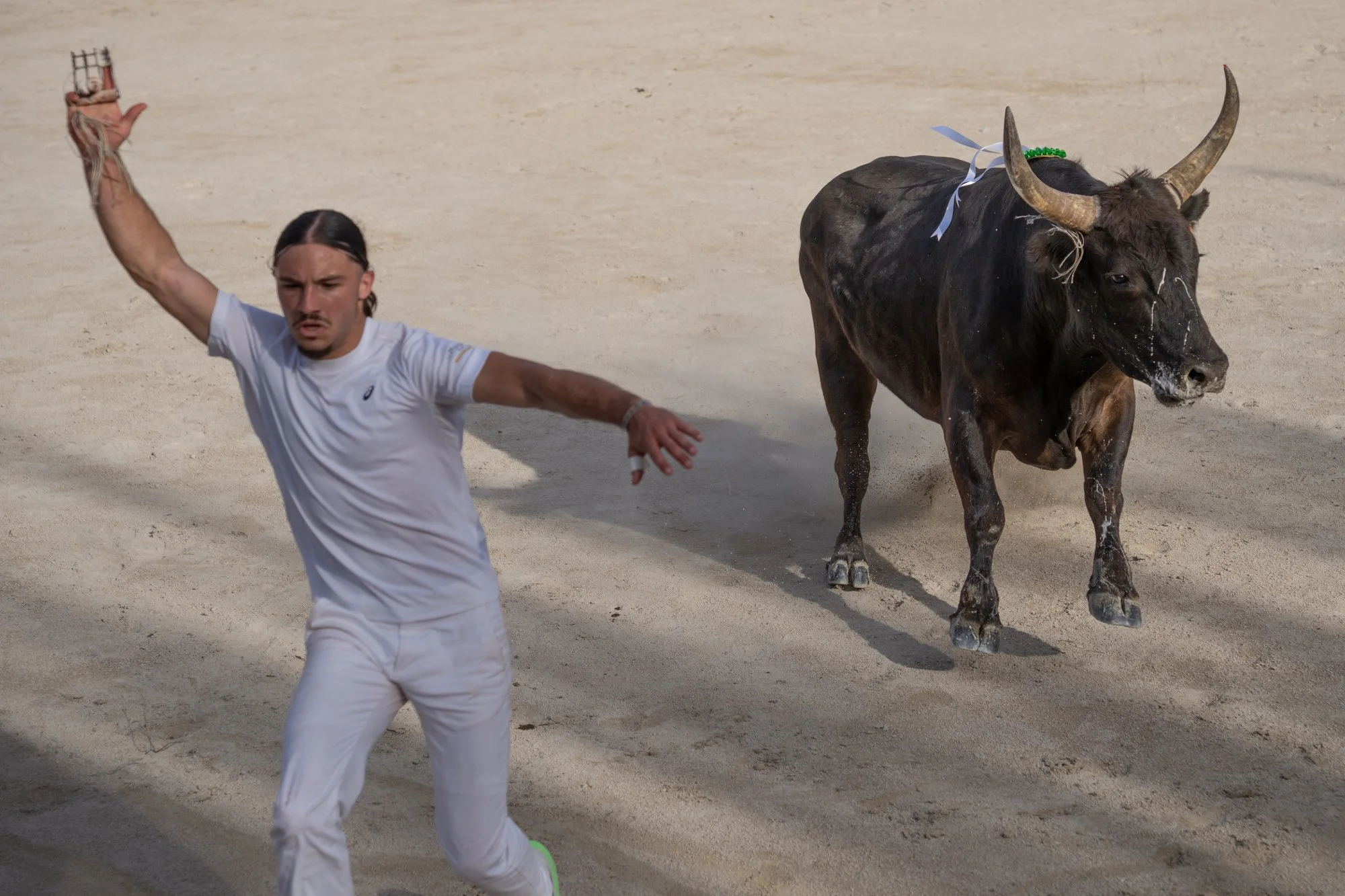 Course camarguaise-9.jpg