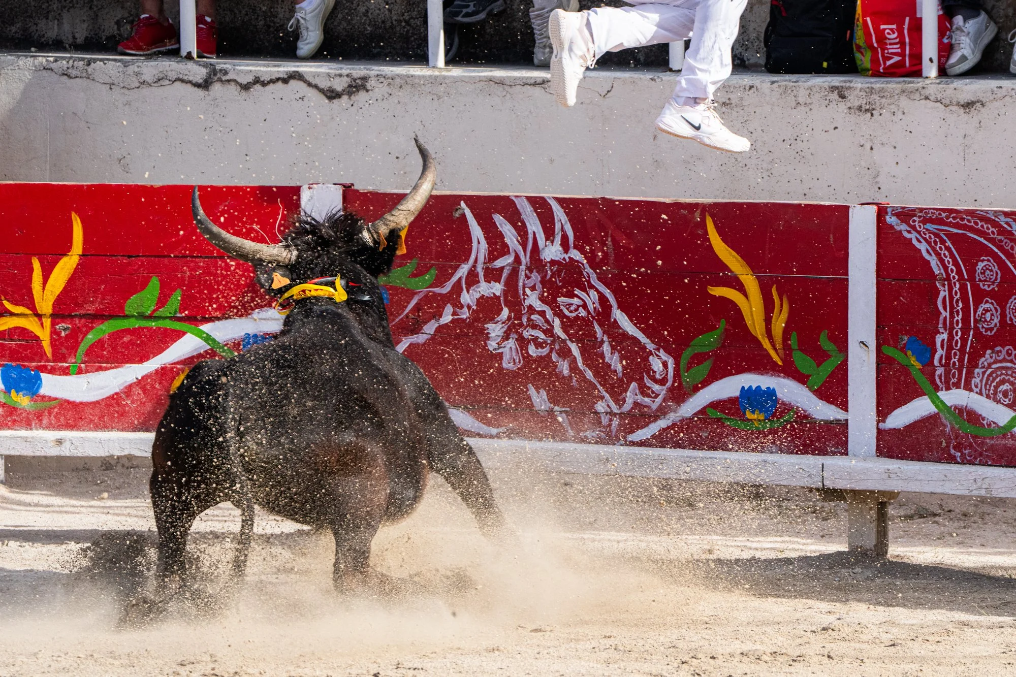 Course camarguaise-13.jpg