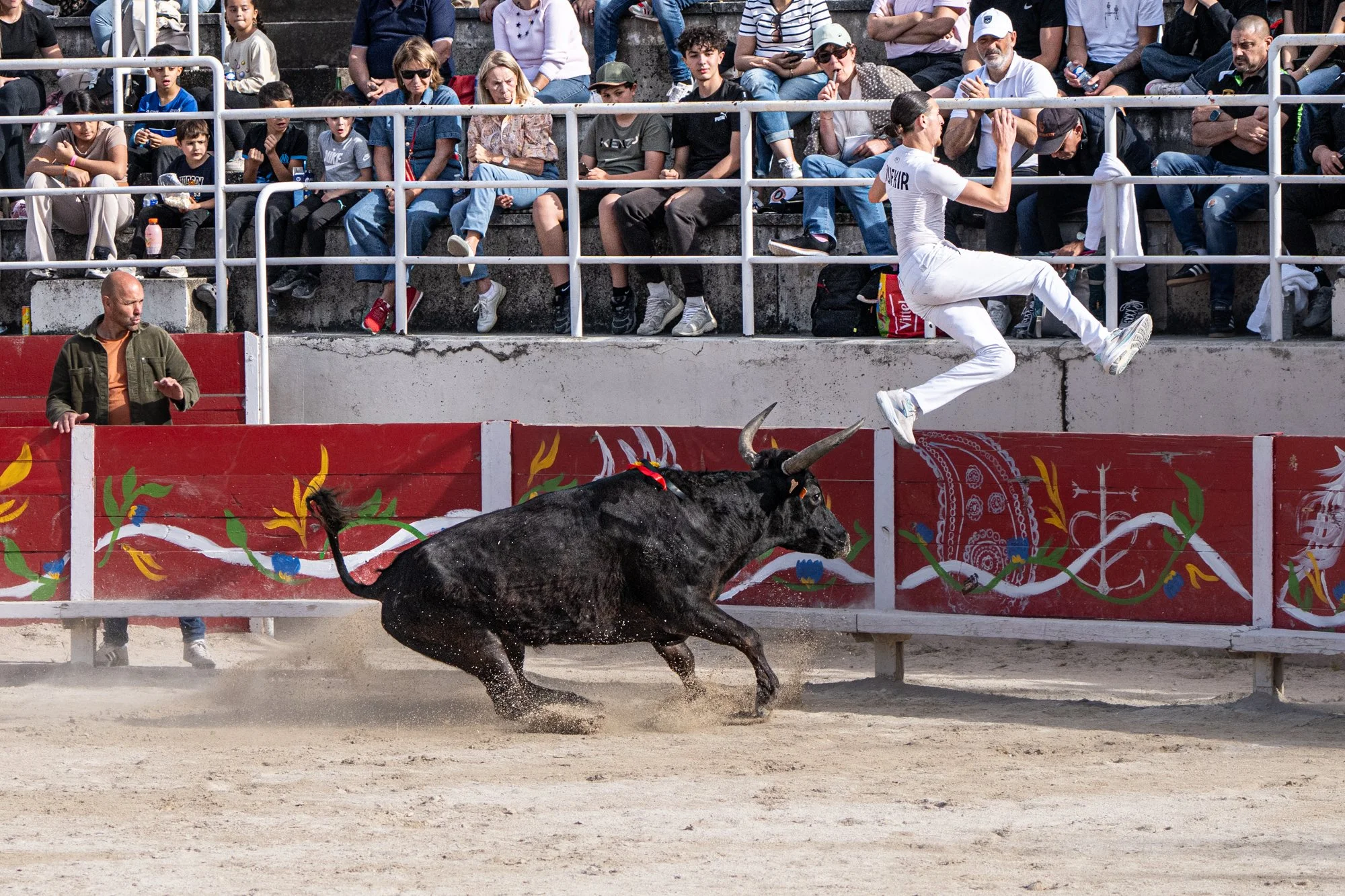 Course camarguaise-14.jpg