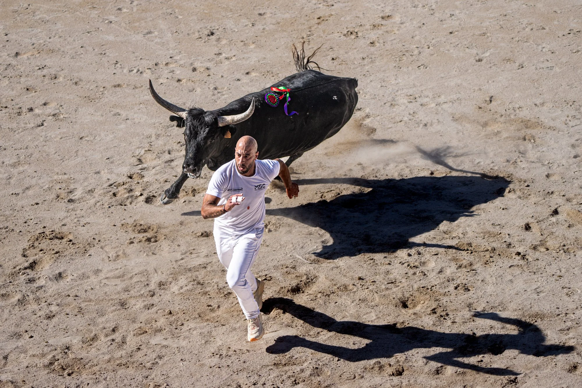 Course camarguaise-21.jpg