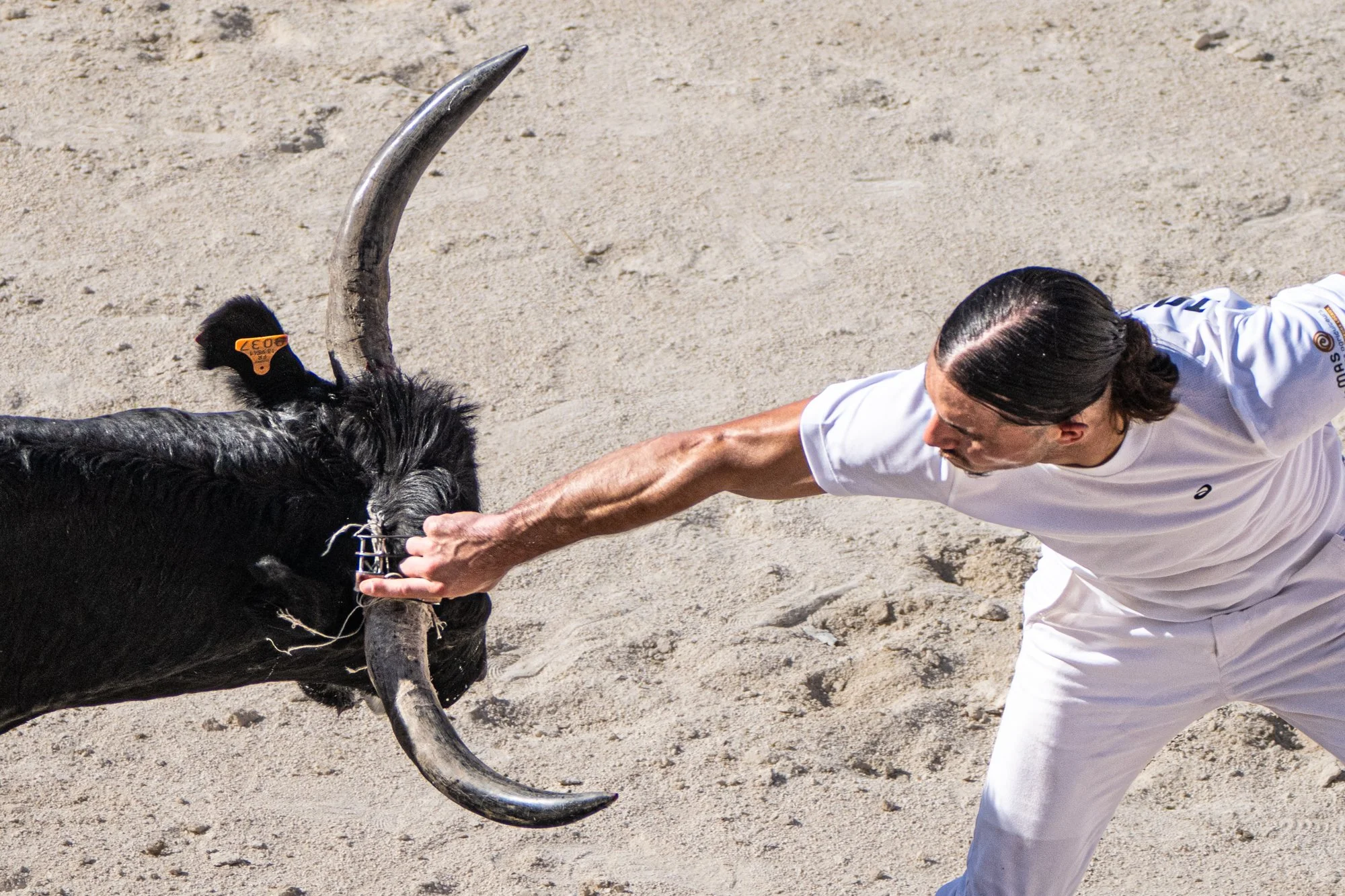 Course camarguaise-22.jpg