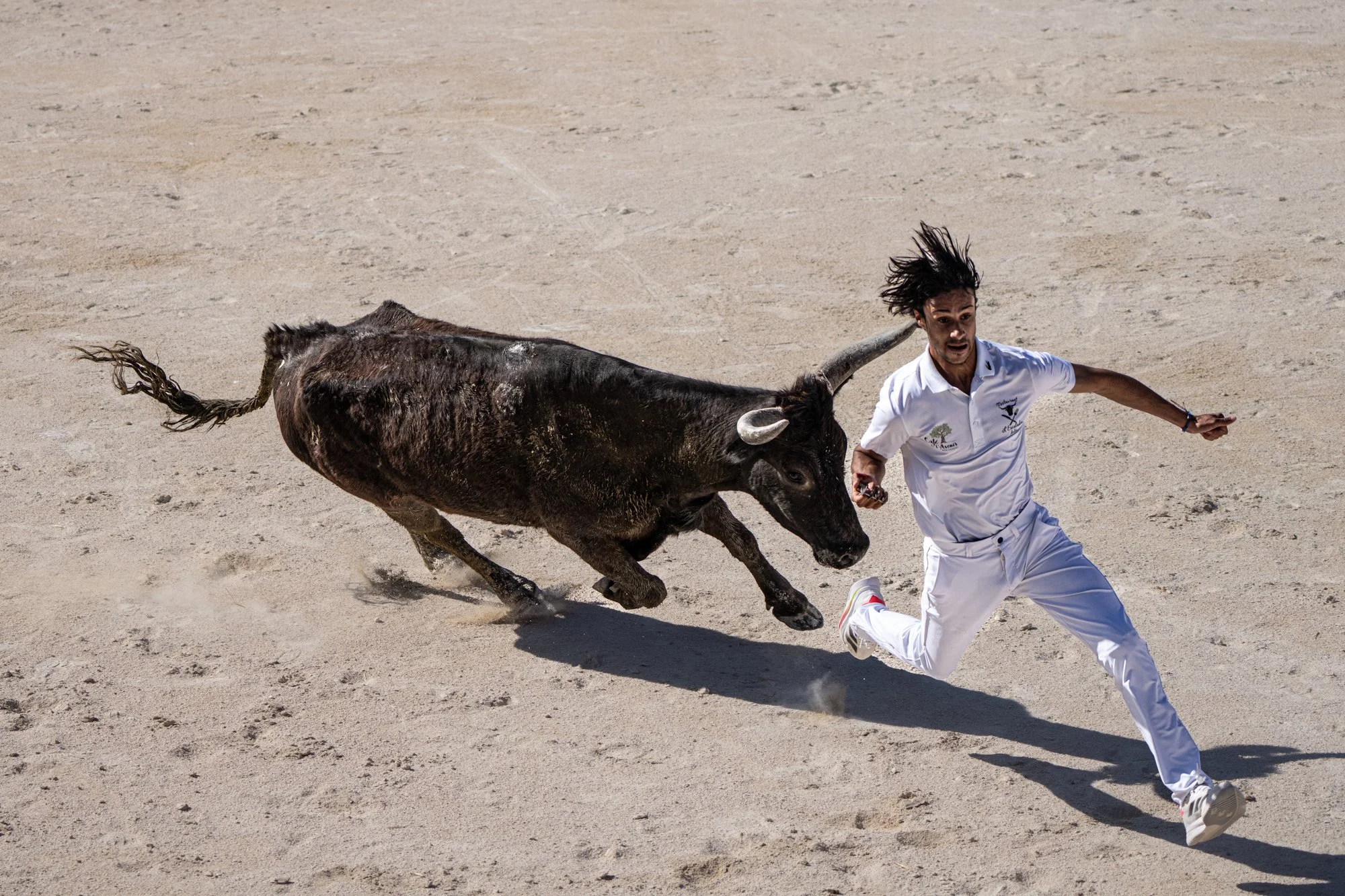 Course camarguaise-24.jpg