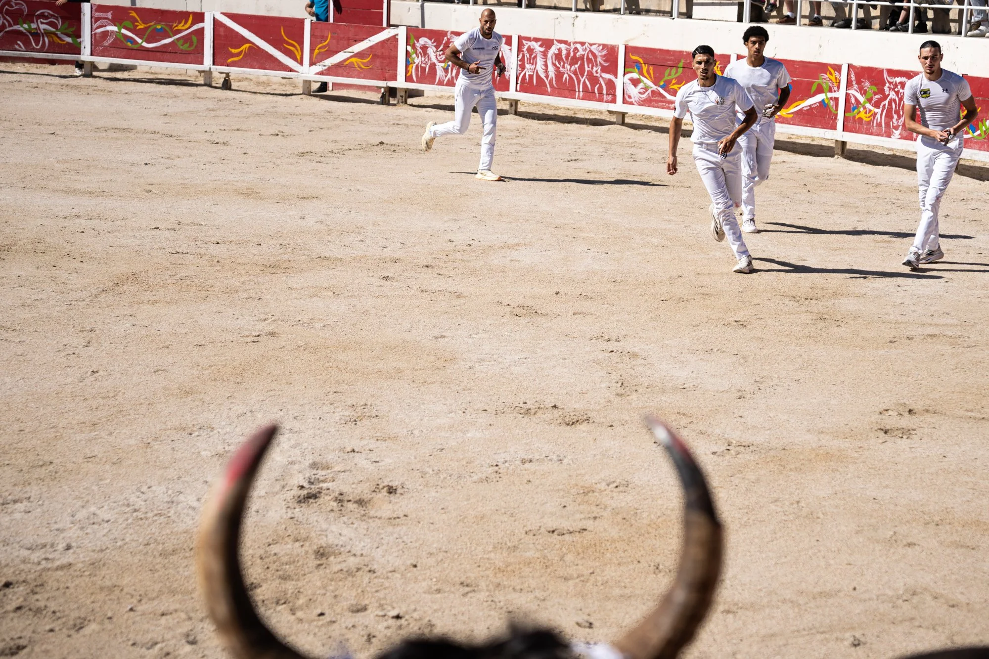 Course camarguaise-27.jpg