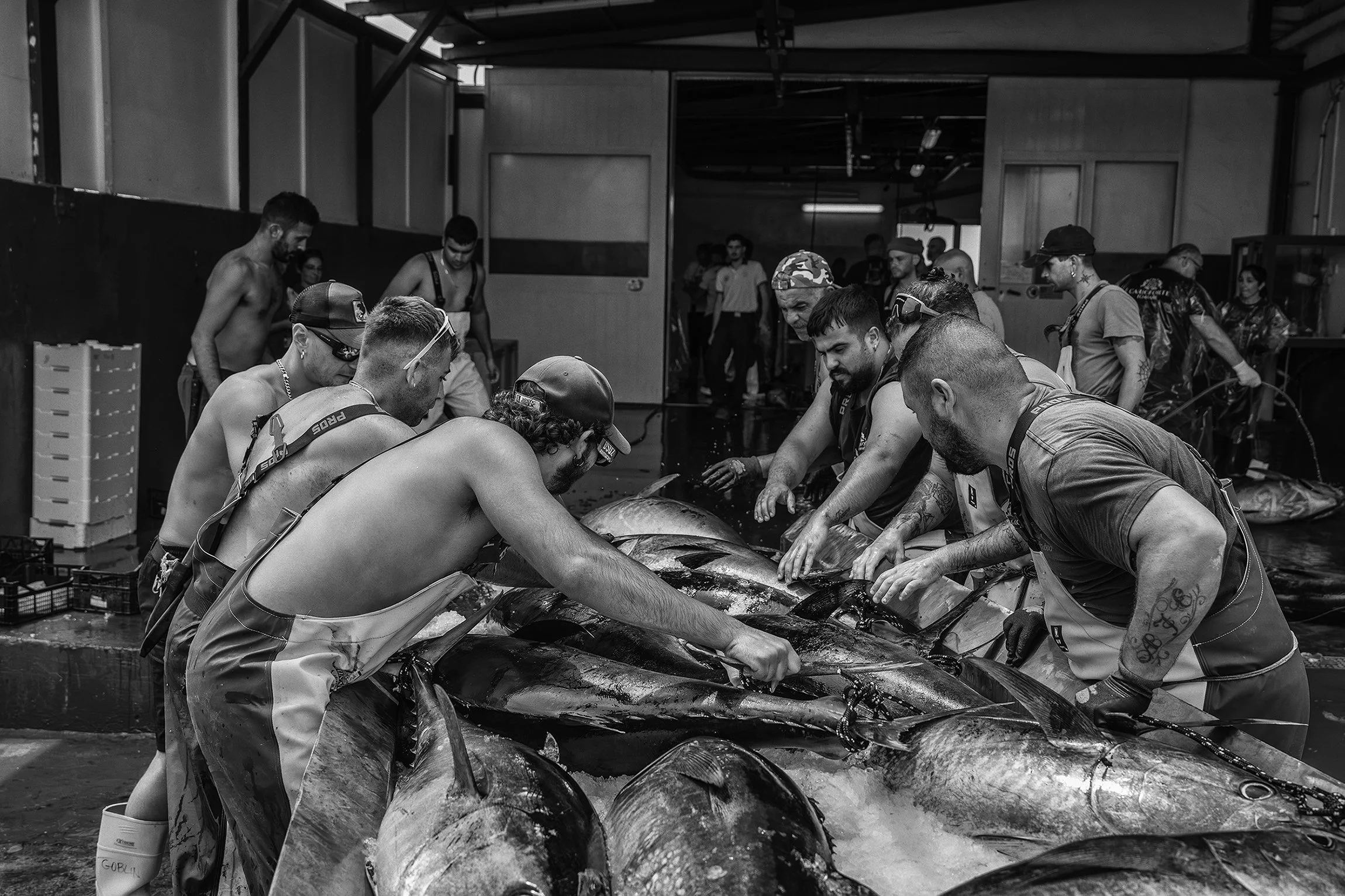 Ludovic Vauthier_Tonnara une tradition qui résiste 8.jpg