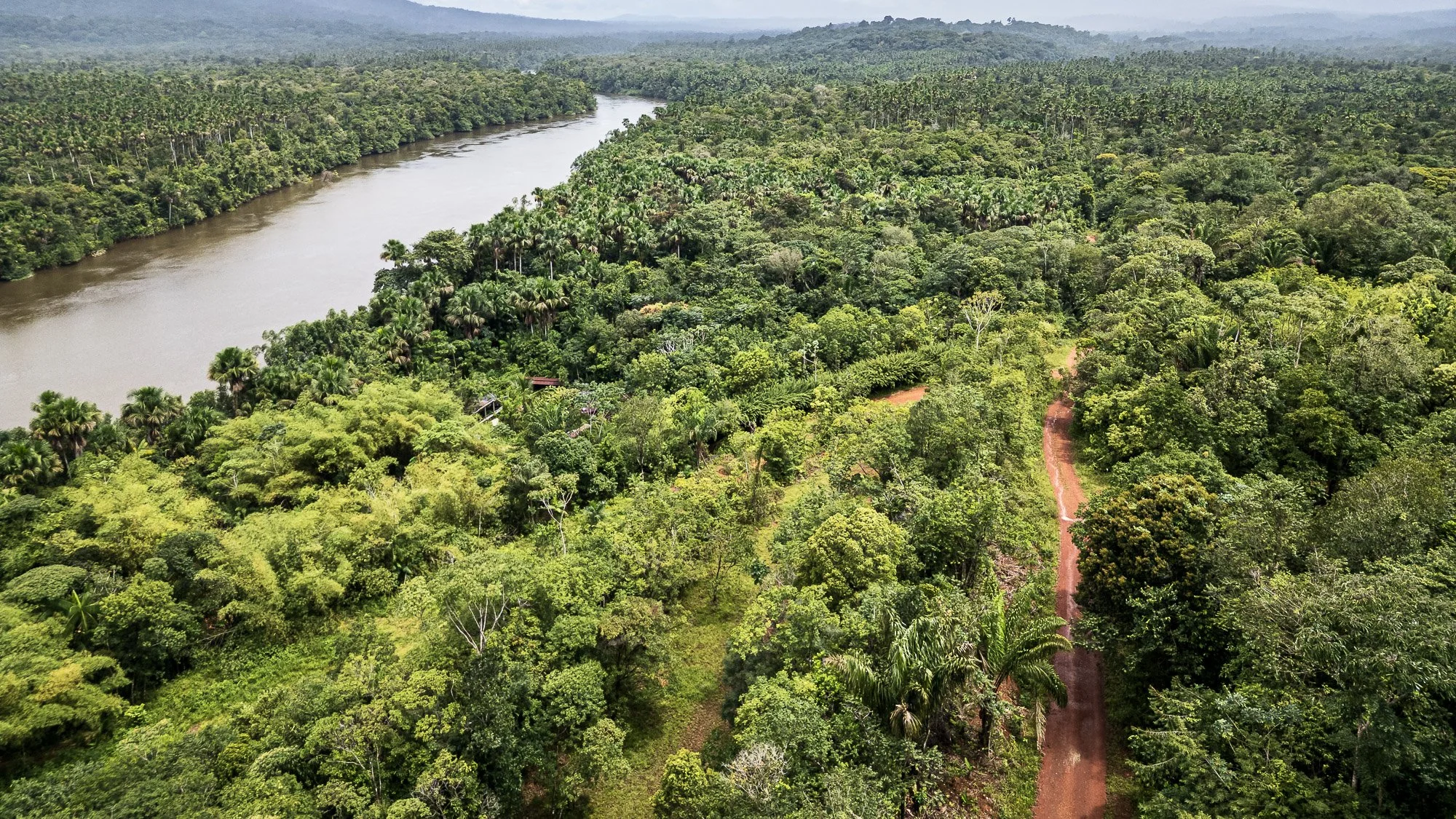 18Guyane-traces-amerindiennes-Diane-Edorh-Bénédite.jpg