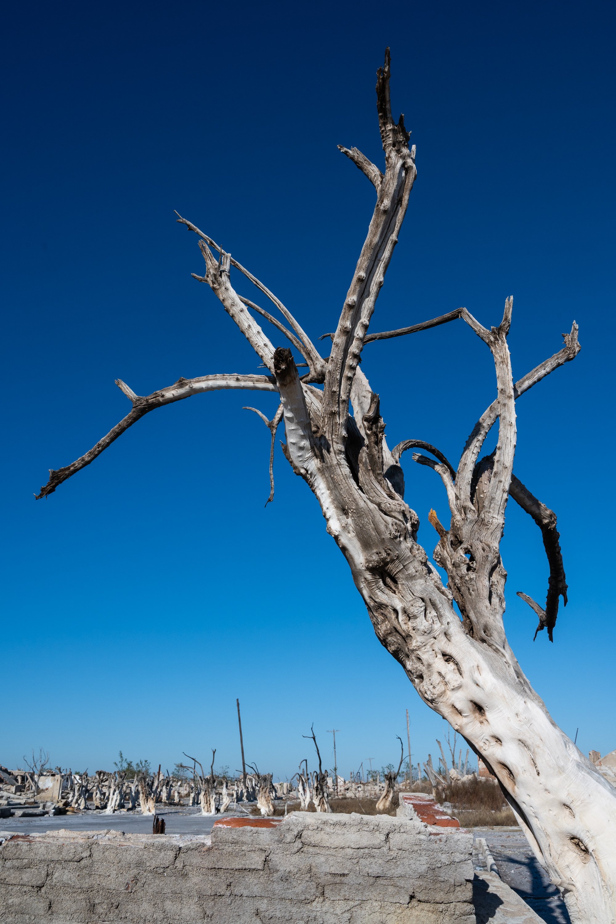 Epecuén- chronique d’une ville noyée -6.JPG