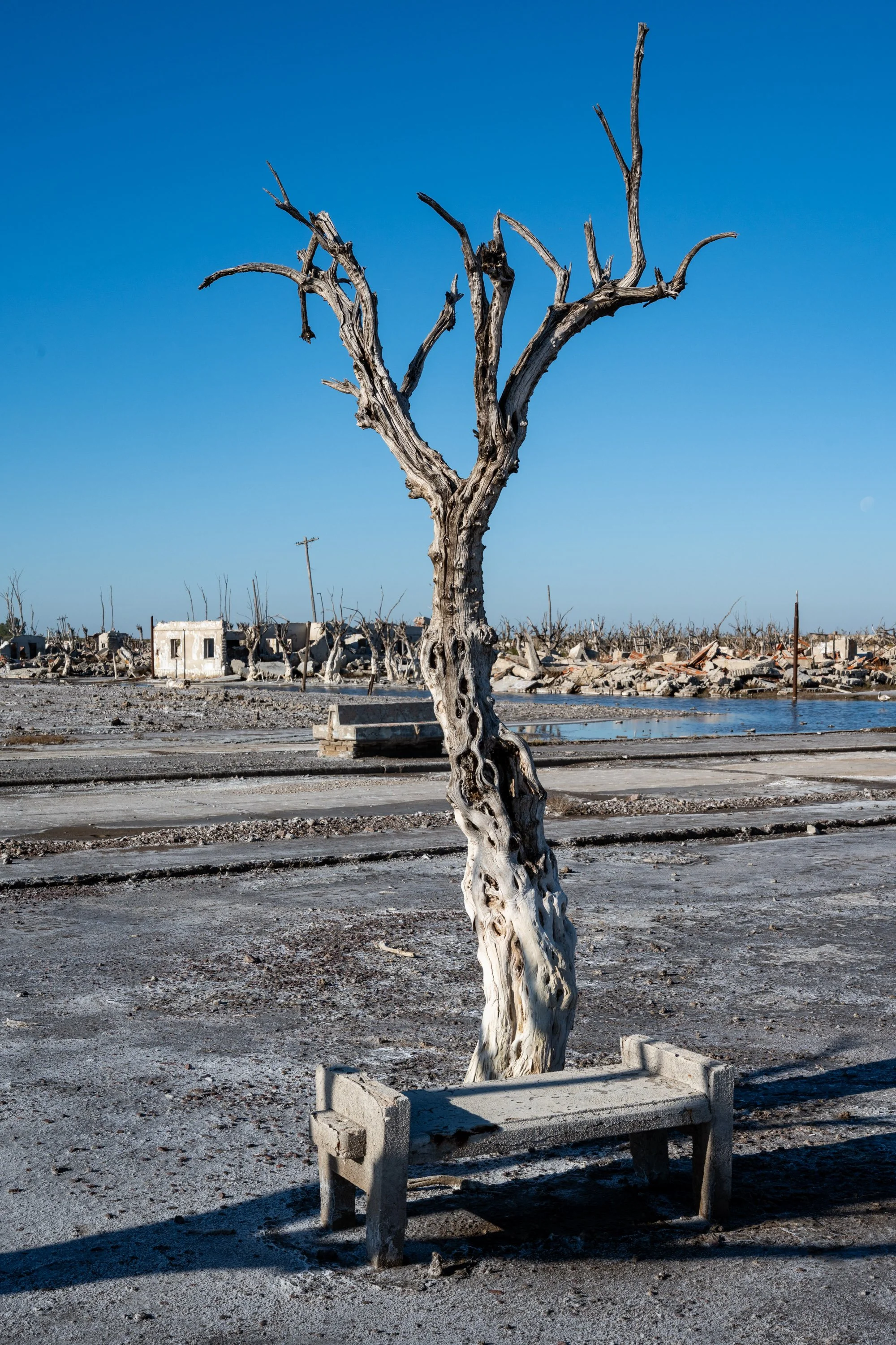 Epecuén- chronique d’une ville noyée -18.JPG
