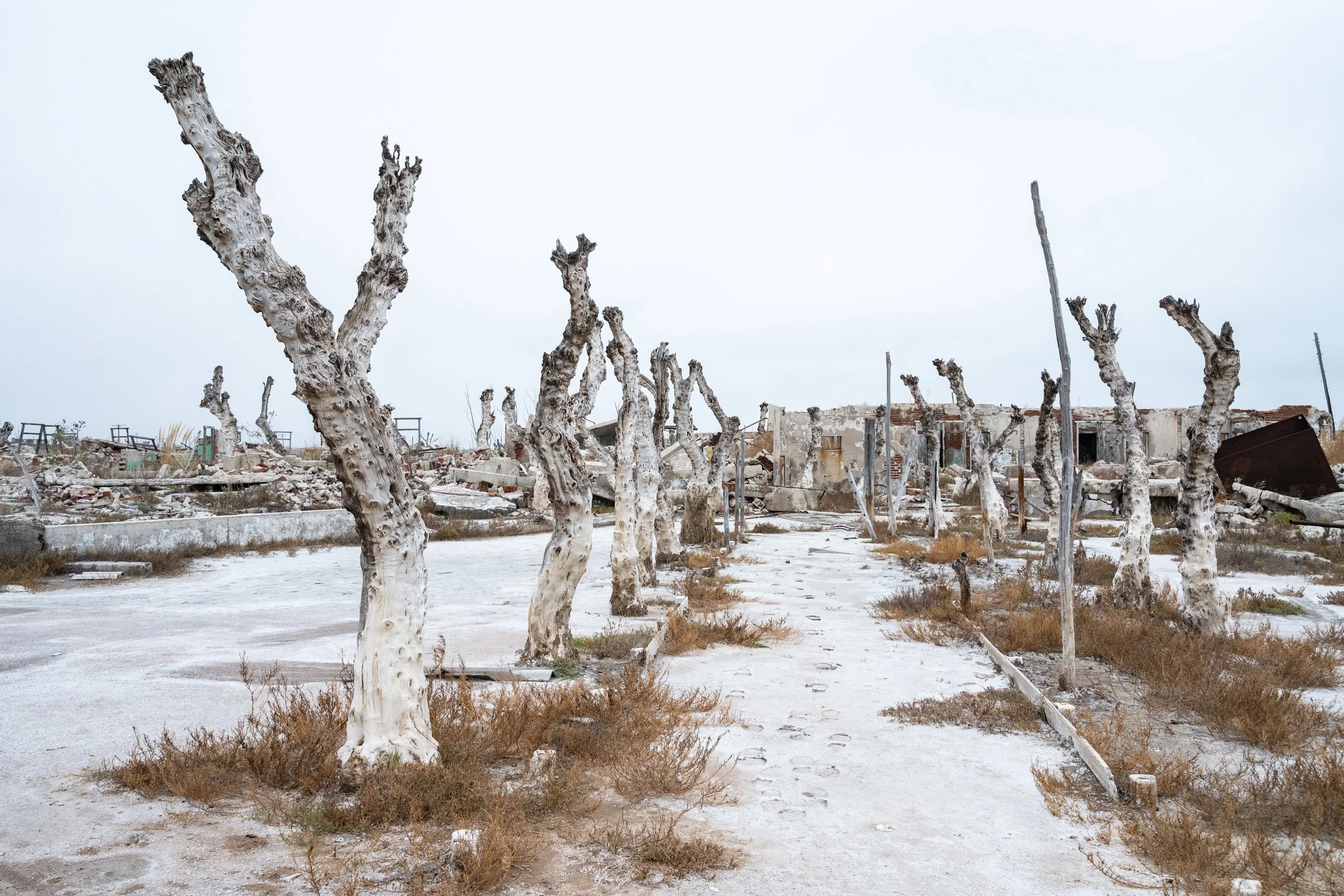 Epecuén- chronique d’une ville noyée -21.JPG
