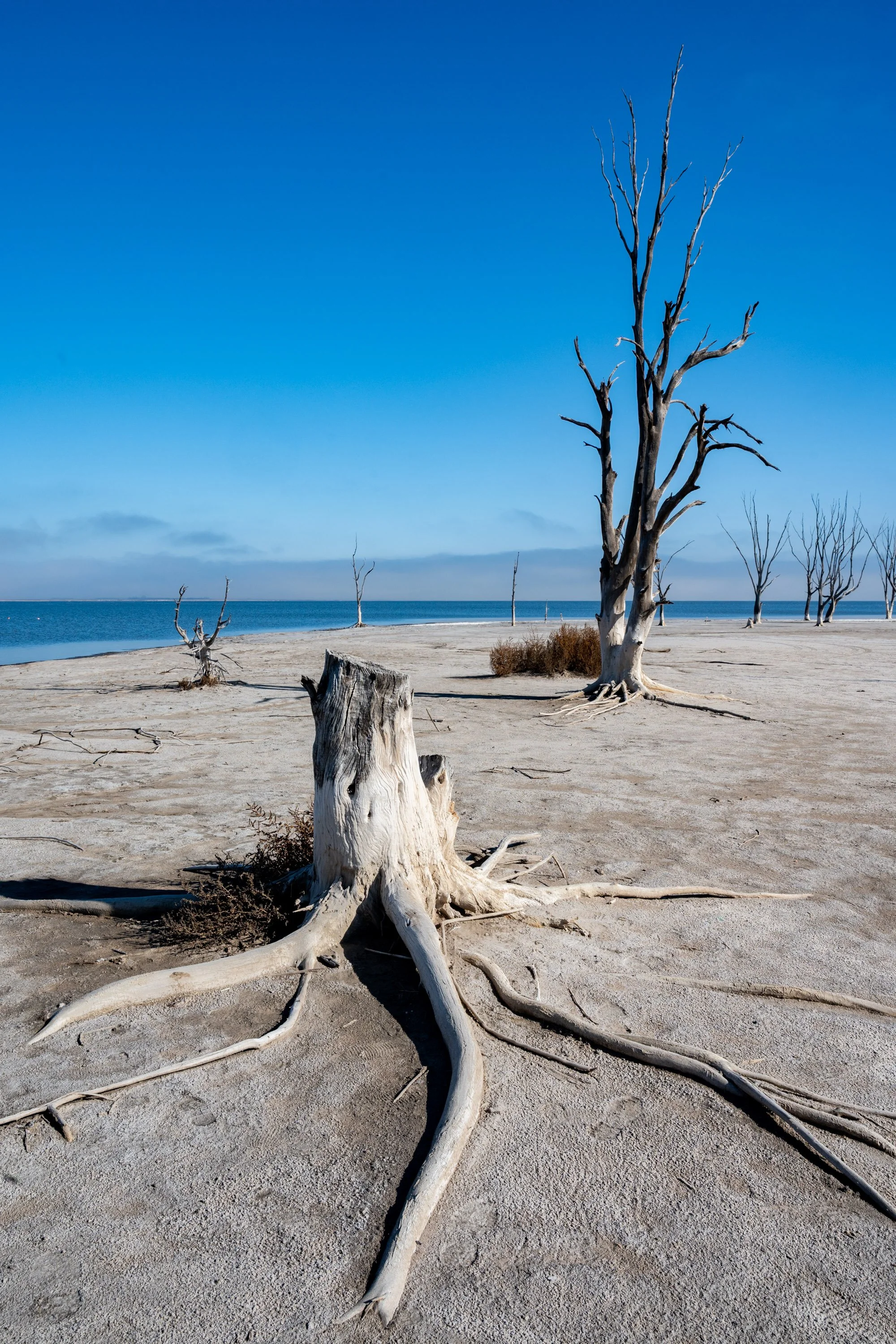 Epecuén- chronique d’une ville noyée -33.JPG